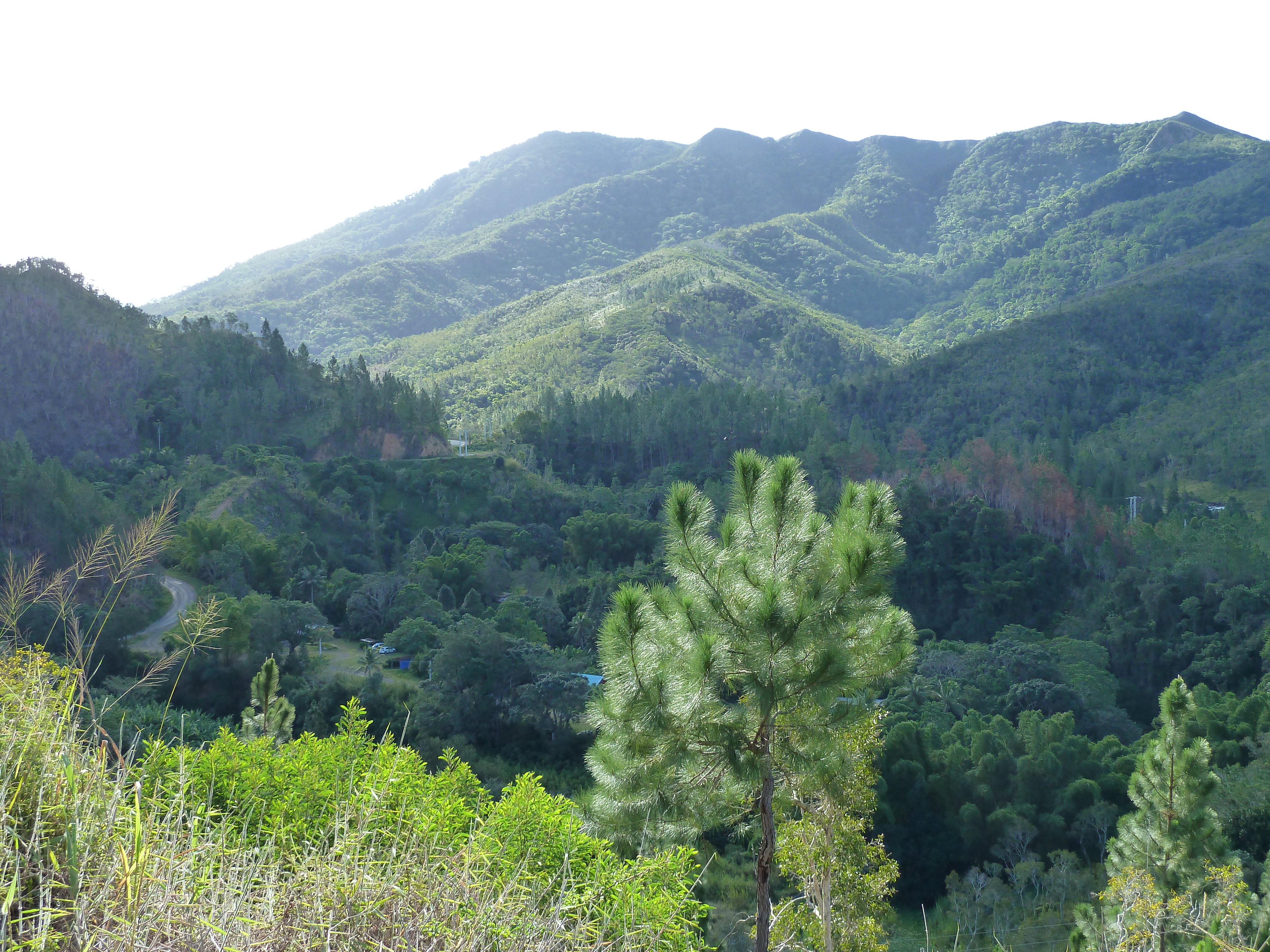 รูปถ่าย นิวแคลิโดเนีย(New Caledonia) ถนนจากกานาลาไปลาฟัว(Canala to La Foa road) 2010-05 10