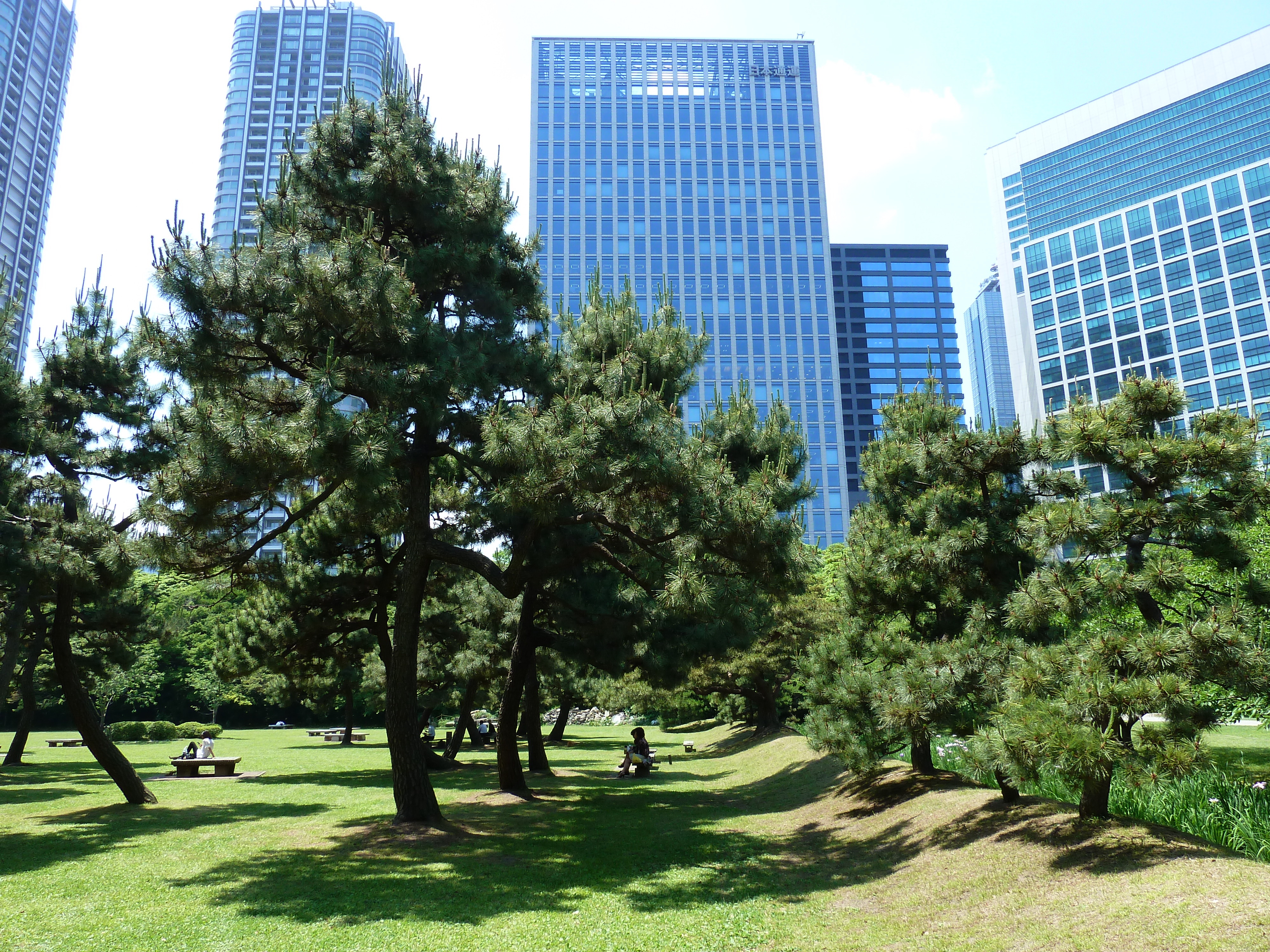 รูปถ่าย ญี่ปุ่น(Japan) โตเกียว(Tokyo) สวนฮามะริคิว(Hama rikyu Gardens) 2010-06 22