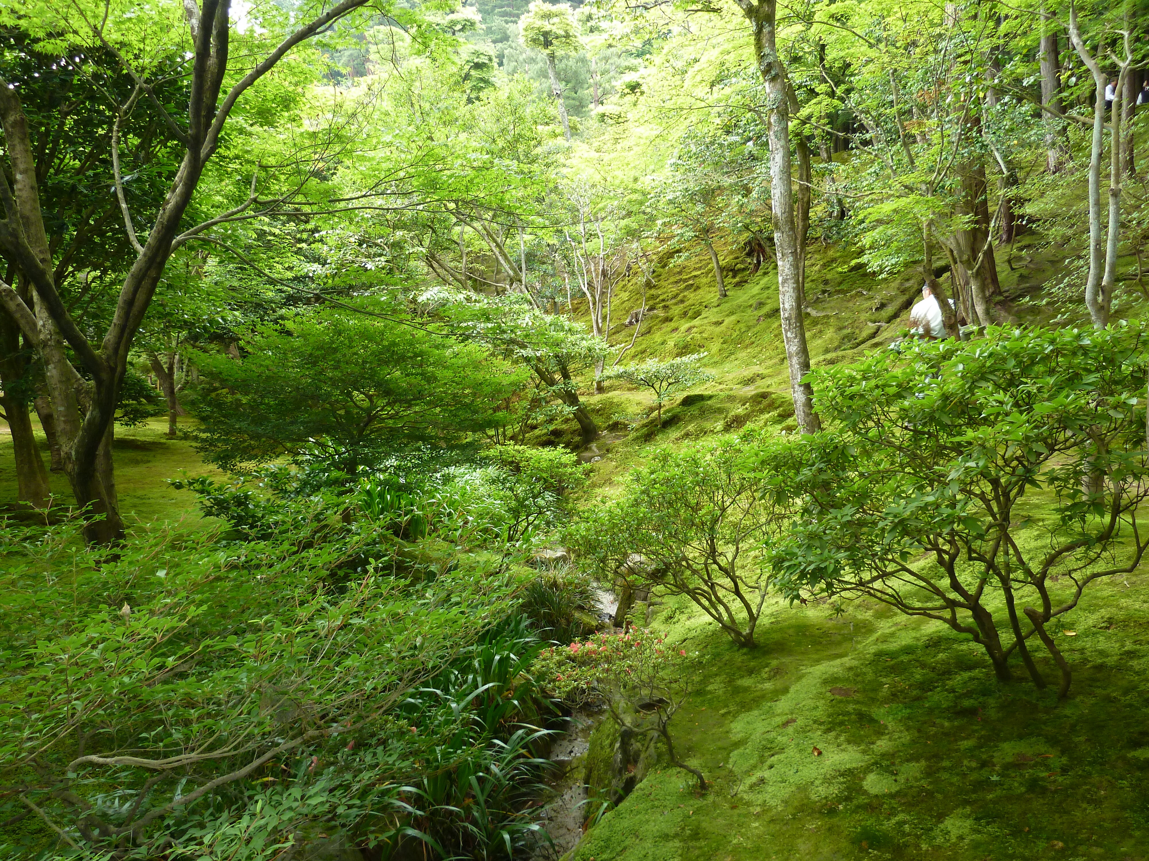 รูปถ่าย ญี่ปุ่น(Japan) เกียวโต(Kyoto) วัดกินกะกุจิ (ศาลาเงิน)(Ginkakuji Temple(Silver Pavilion)) 2010-06 84