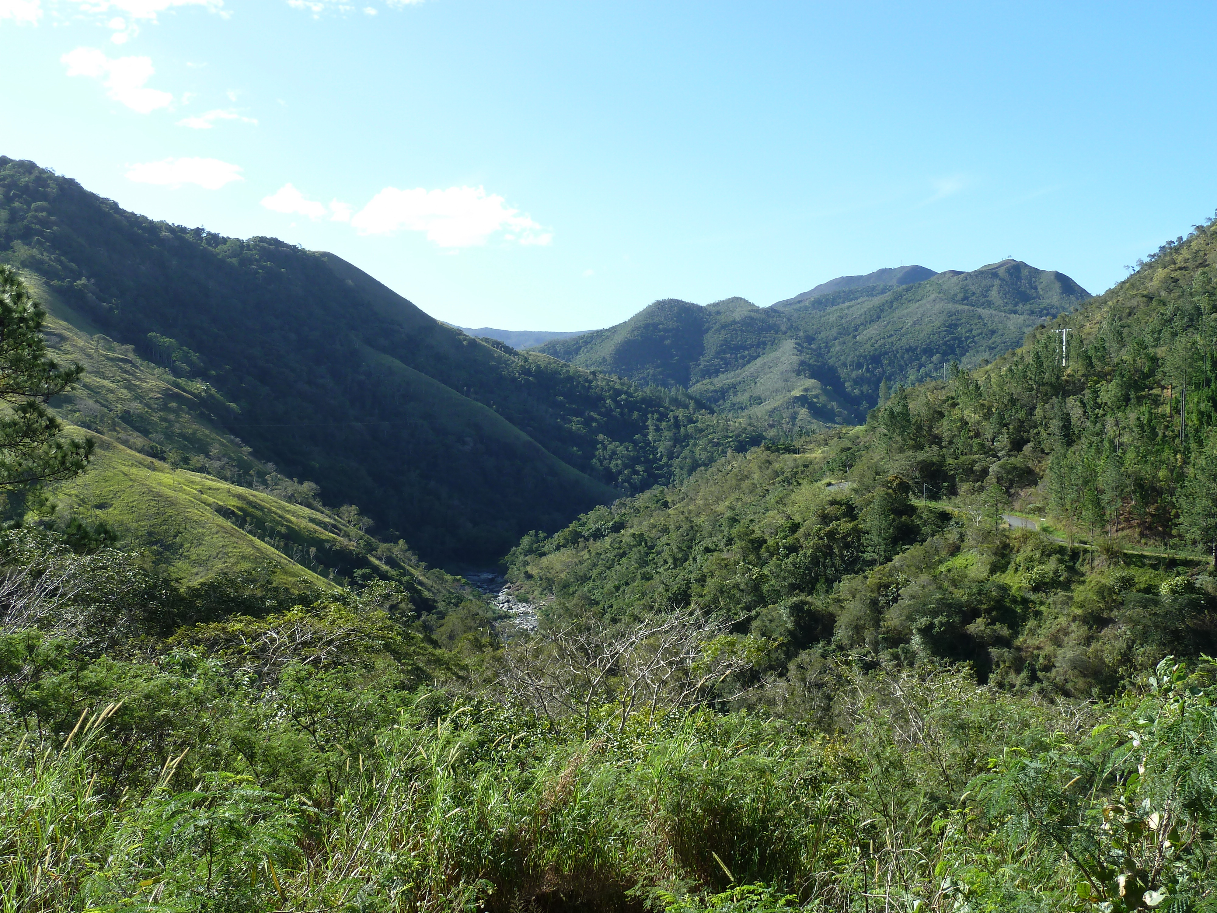 รูปถ่าย นิวแคลิโดเนีย(New Caledonia) ถนนจากกานาลาไปลาฟัว(Canala to La Foa road) 2010-05 16