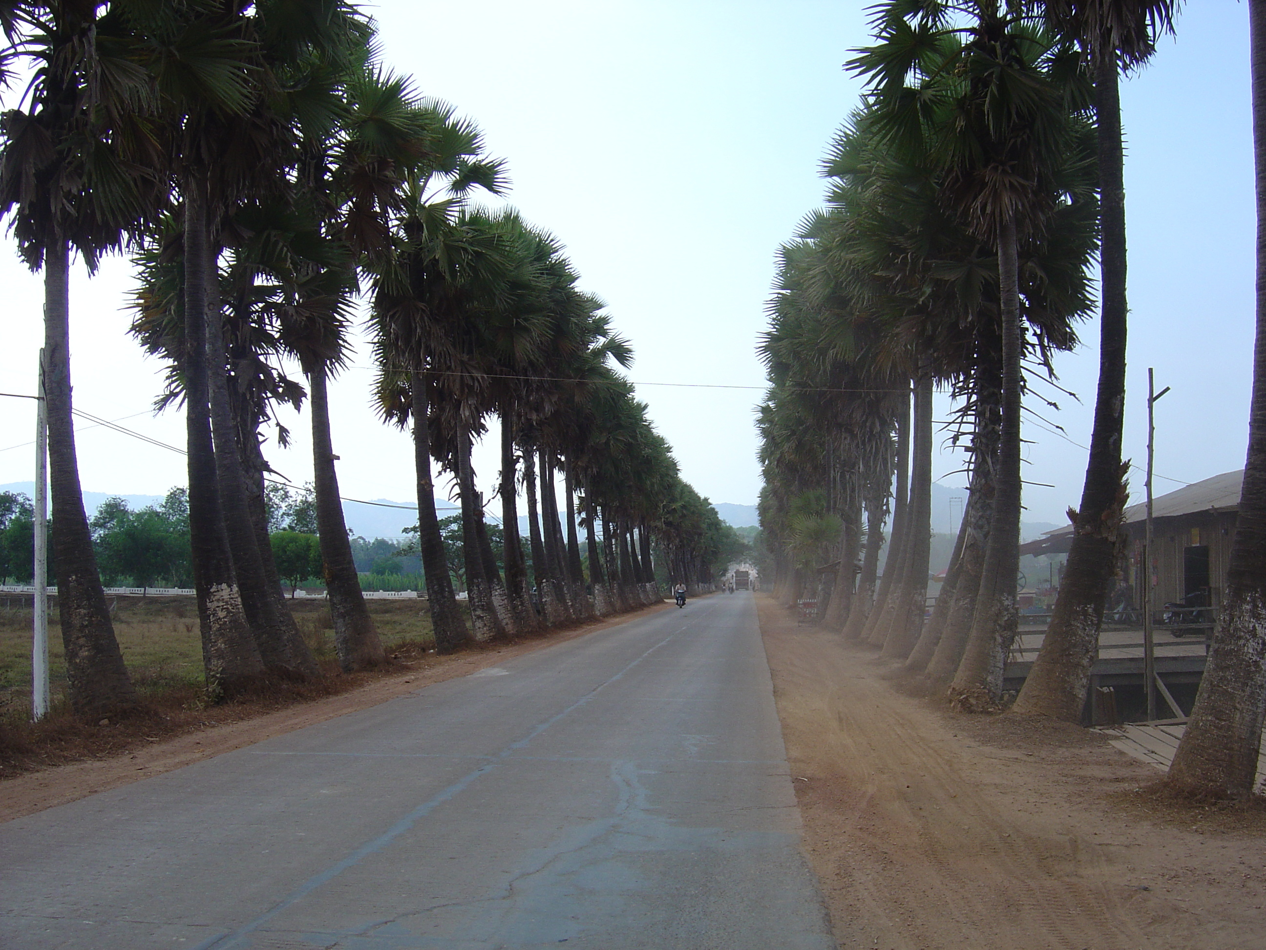 รูปถ่าย พม่า(Myanmar) ถนนจากทวายไปหาดหม่องมะกัน(Road from Dawei to Maungmagan beach) 2005-01 63
