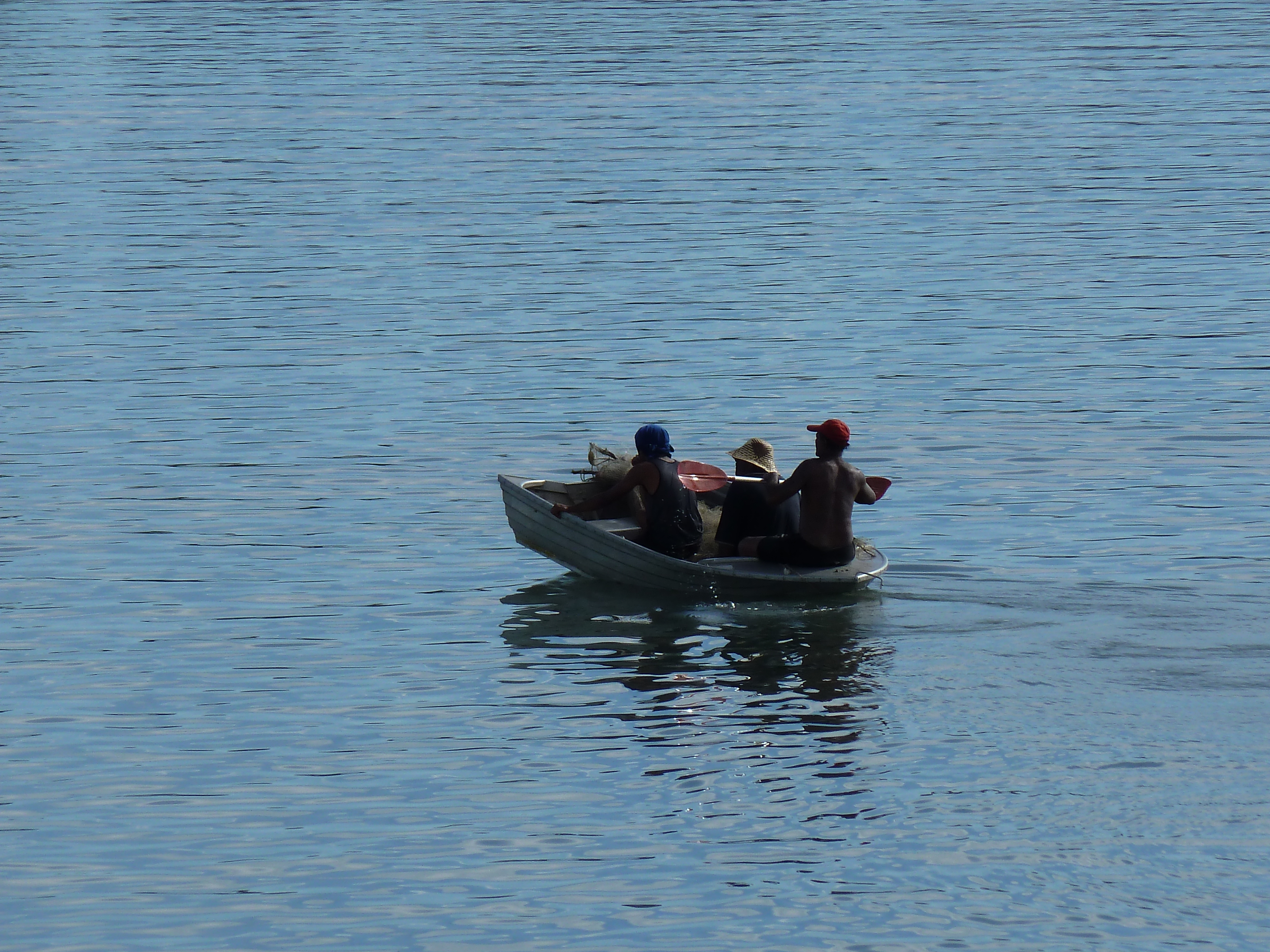 รูปถ่าย ฟิจิ(Fiji) 2010-05 99