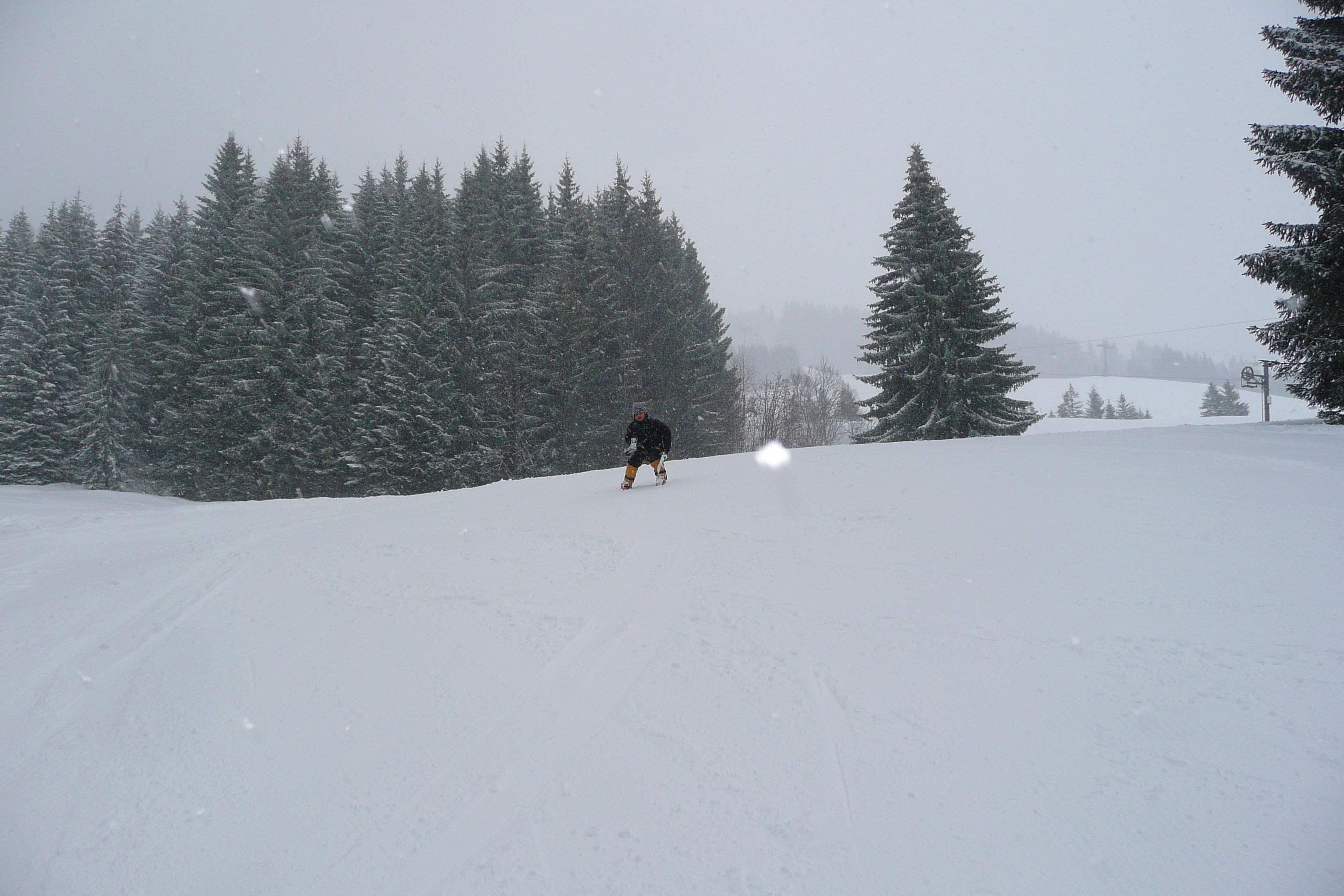 รูปถ่าย ฝรั่งเศส(France) เมแฌฟว์(Megeve) มงดาร์บัว(Mont d'Arbois) 2010-02 7
