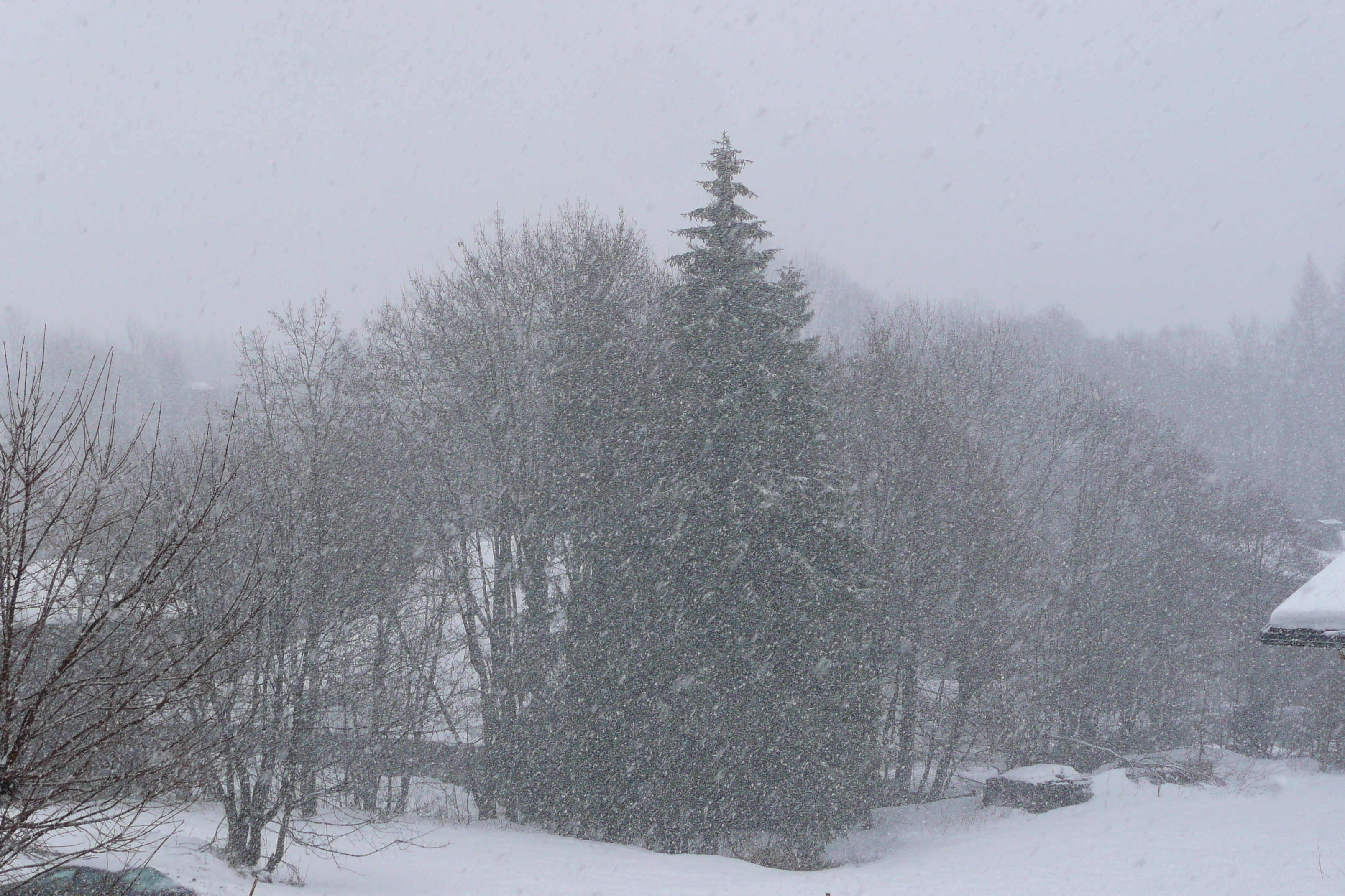 รูปถ่าย ฝรั่งเศส(France) เมแฌฟว์(Megeve) มงดาร์บัว(Mont d'Arbois) 2010-02 294