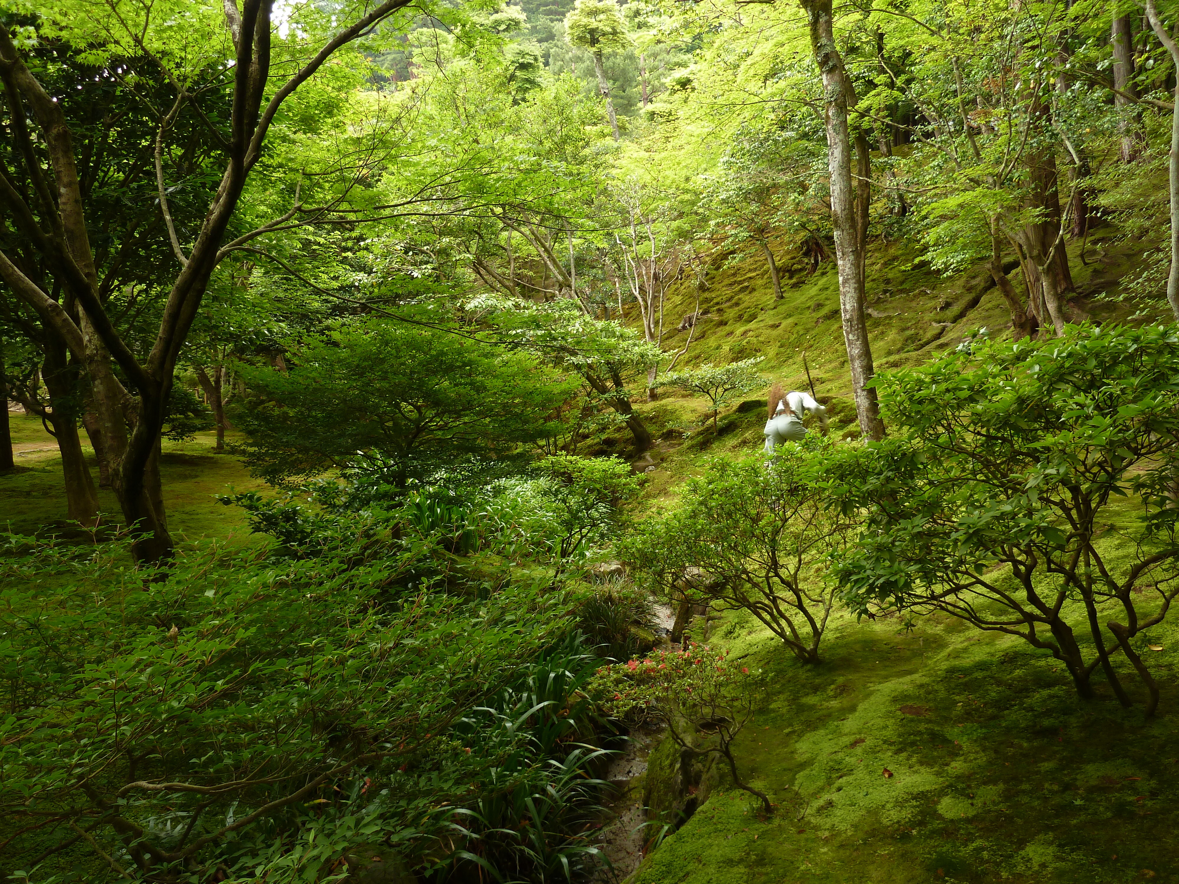 รูปถ่าย ญี่ปุ่น(Japan) เกียวโต(Kyoto) วัดกินกะกุจิ (ศาลาเงิน)(Ginkakuji Temple(Silver Pavilion)) 2010-06 79