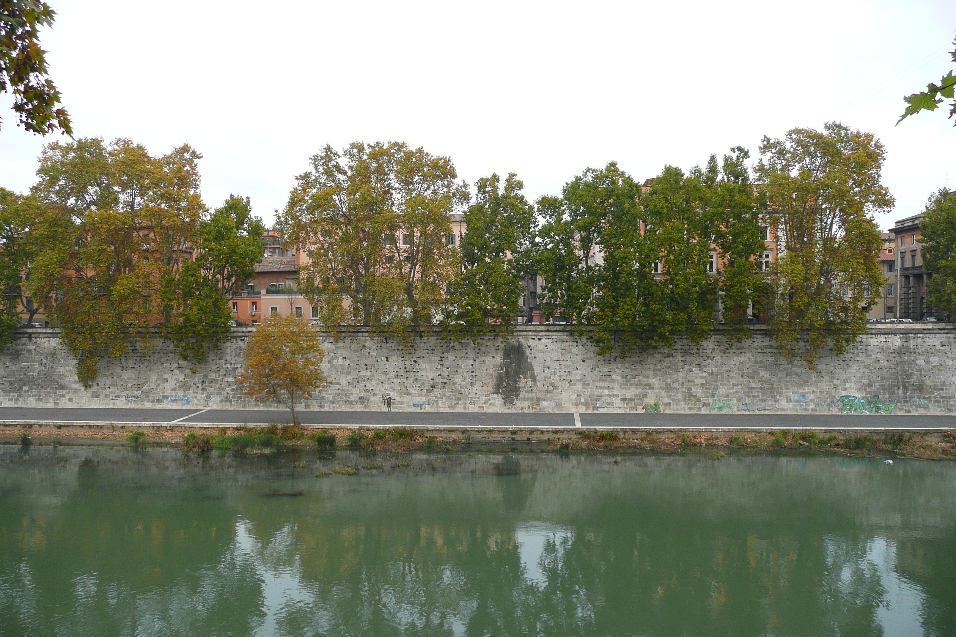 รูปถ่าย อิตาลี(Italy) โรม(Rome) ถนนริมน้ำจานีโกเลนเซ(Lungotevere Gianicolense) 2007-11 28