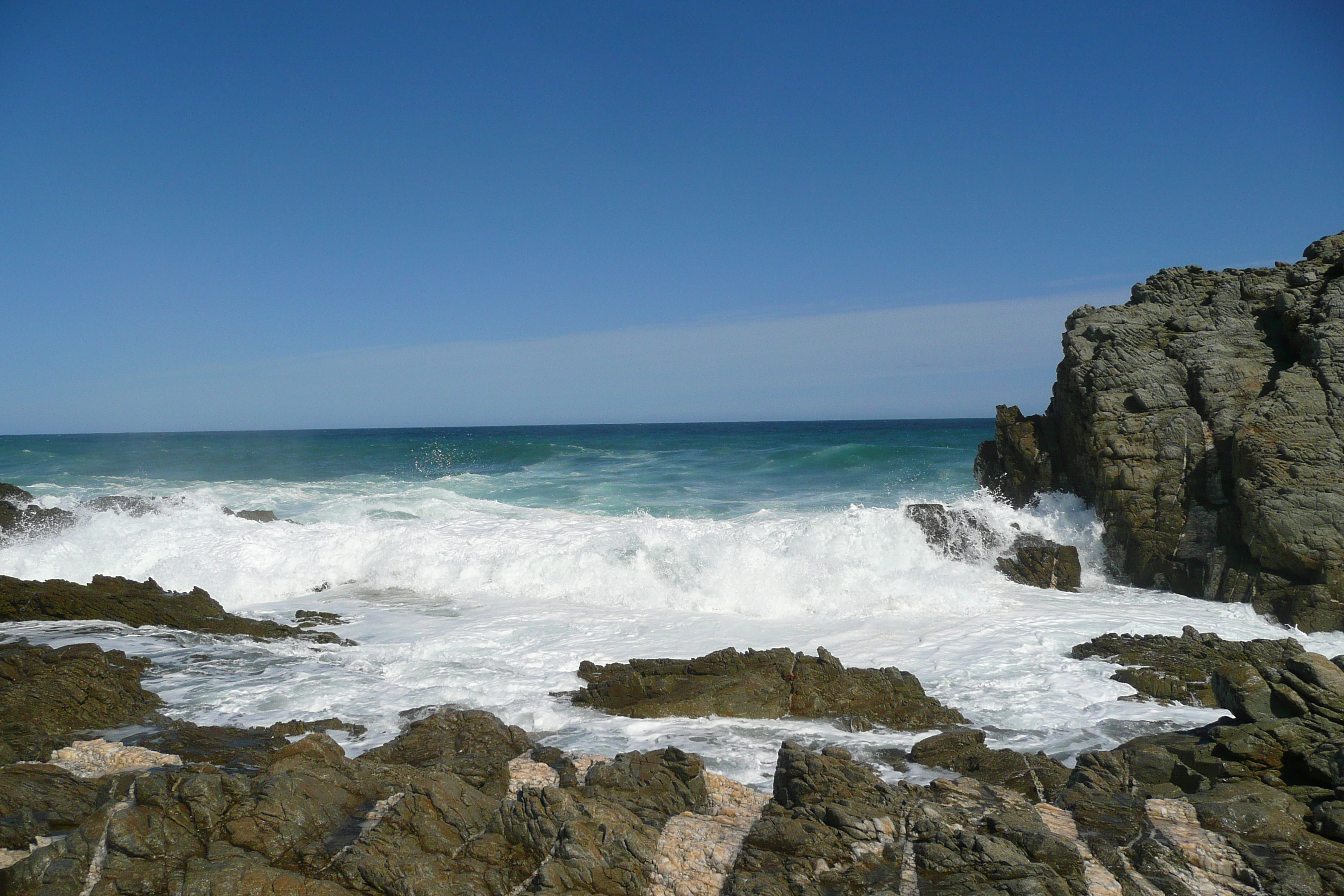 รูปถ่าย แอฟริกาใต้(South Africa) อุทยานแห่งชาติซิตซิคัมมา(Tsitsikamma National Park) 2008-09 271