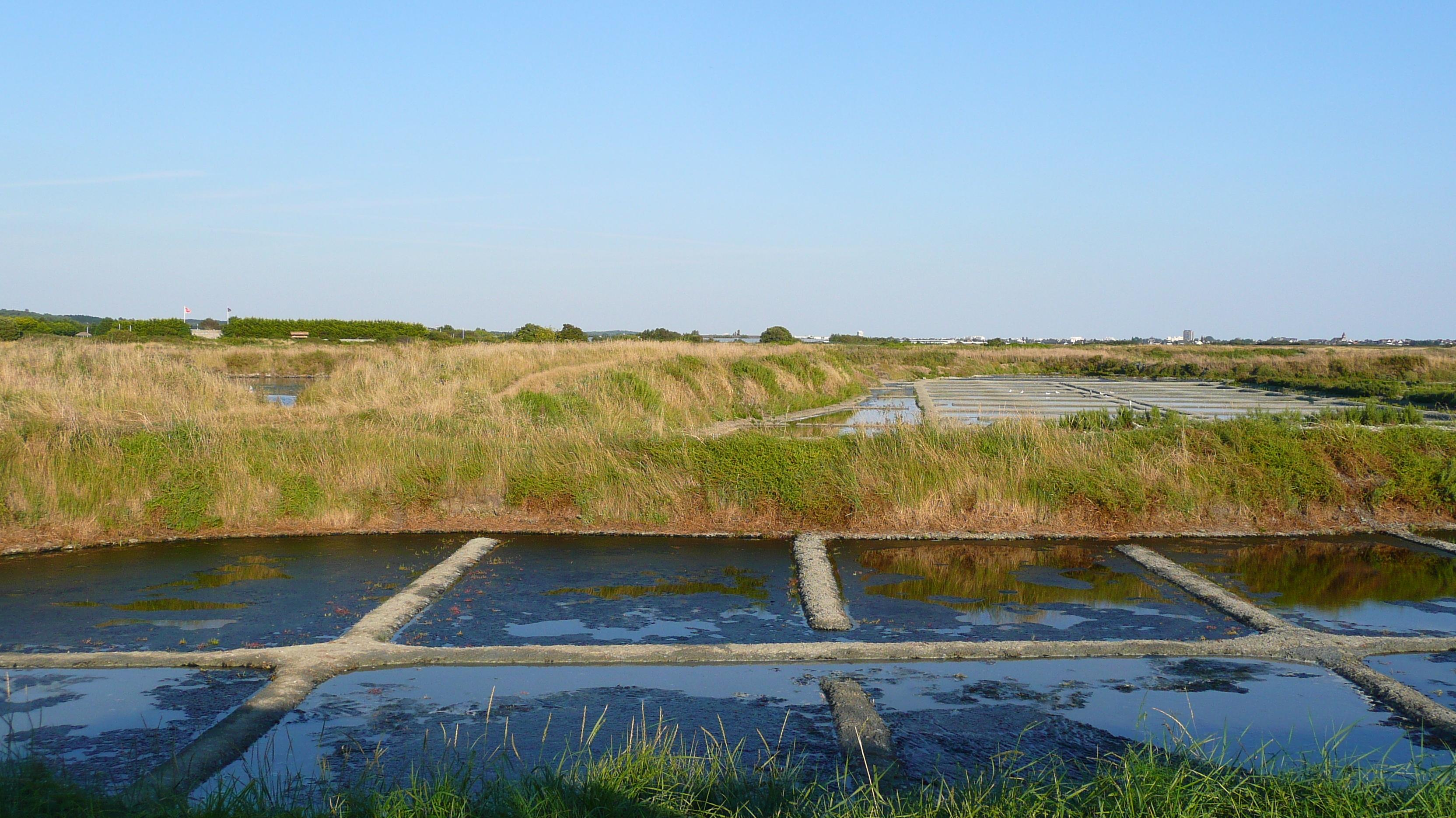 รูปถ่าย ฝรั่งเศส(France) เกรองเดอ(Guerande) นาเกลือ(Les marais salants) 2007-08 3
