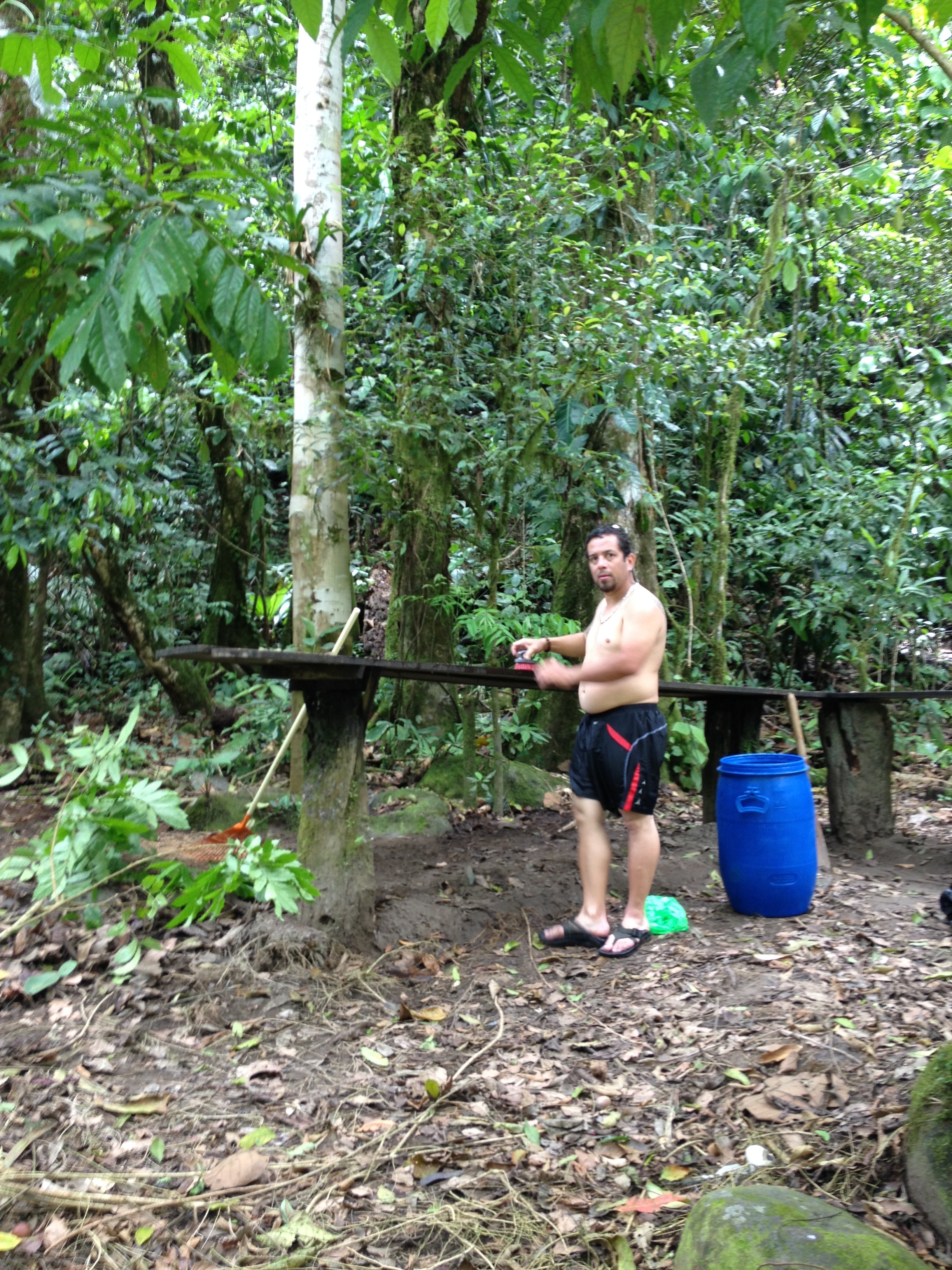 รูปถ่าย คอสตาริกา(Costa Rica) แม่น้ำปากัวเร(Pacuare River) 2015-03 37