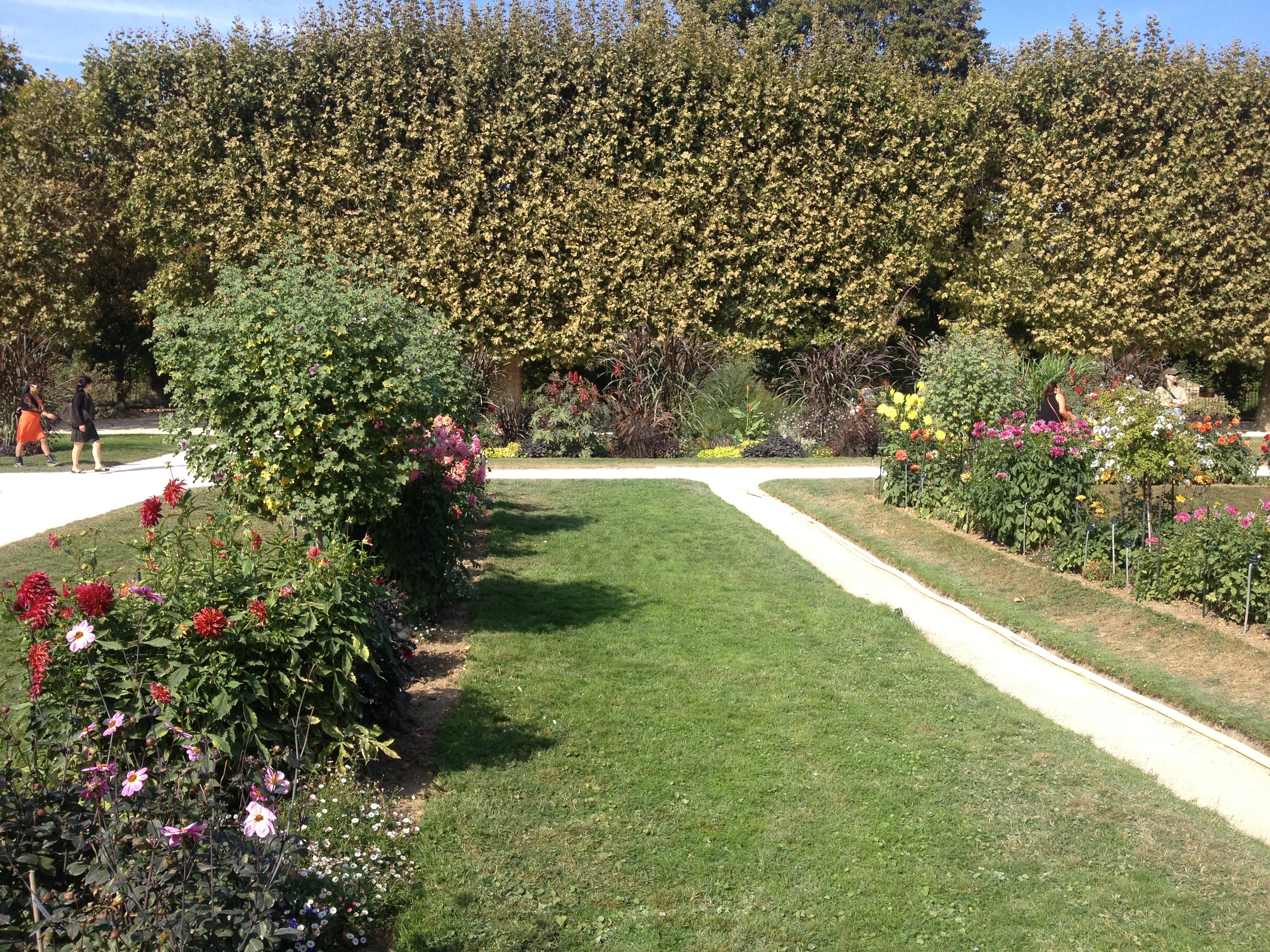 รูปถ่าย ฝรั่งเศส(France) ปารีส(Paris) สวนพันธ์ุพืช(Jardin des Plantes) 2014-09 28
