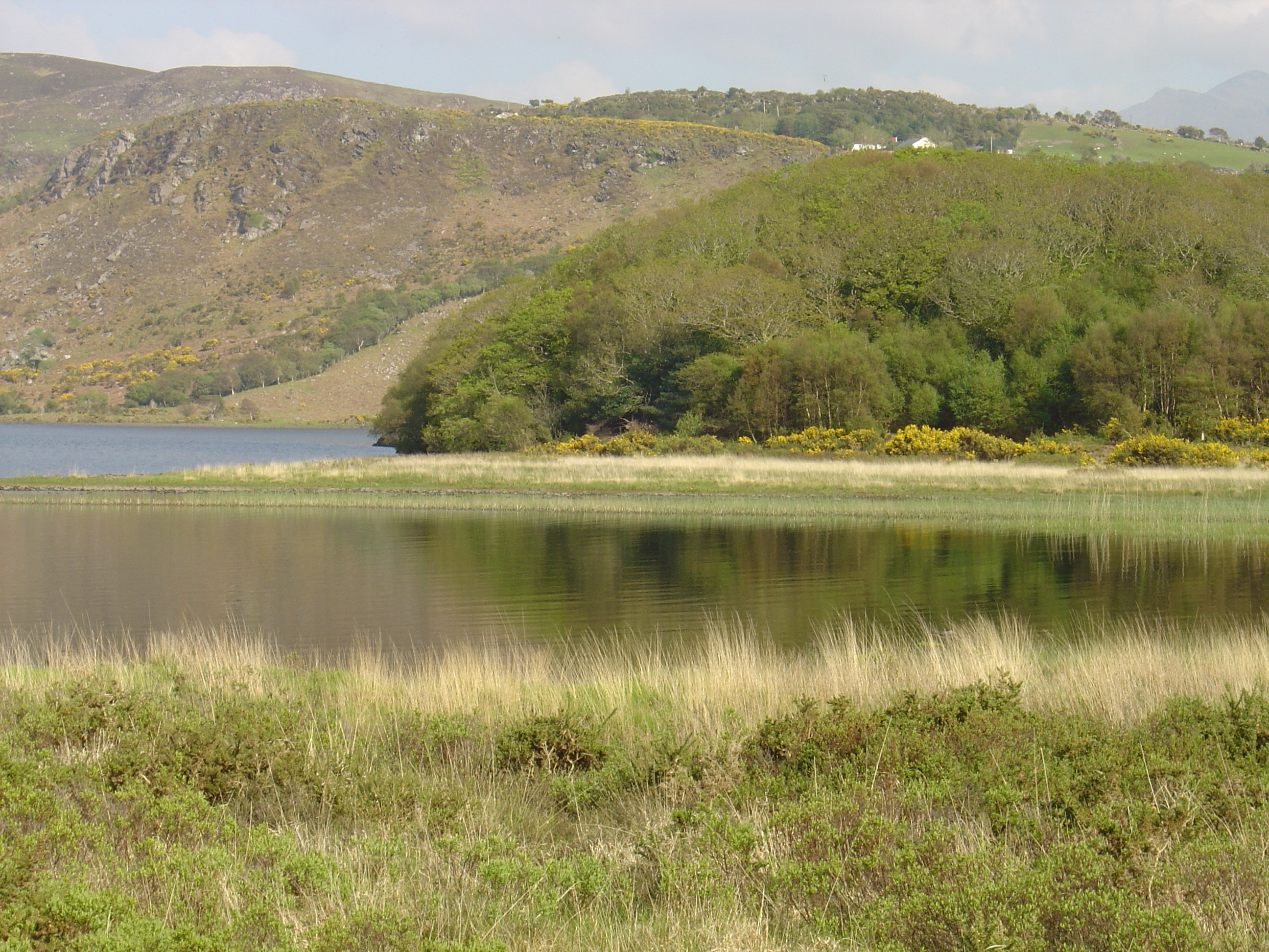 รูปถ่าย ไอร์แลนด์(Ireland) เคอร์รี่(Kerry) ทะเลสาบคารา(Caragh Lake) 2004-05 1