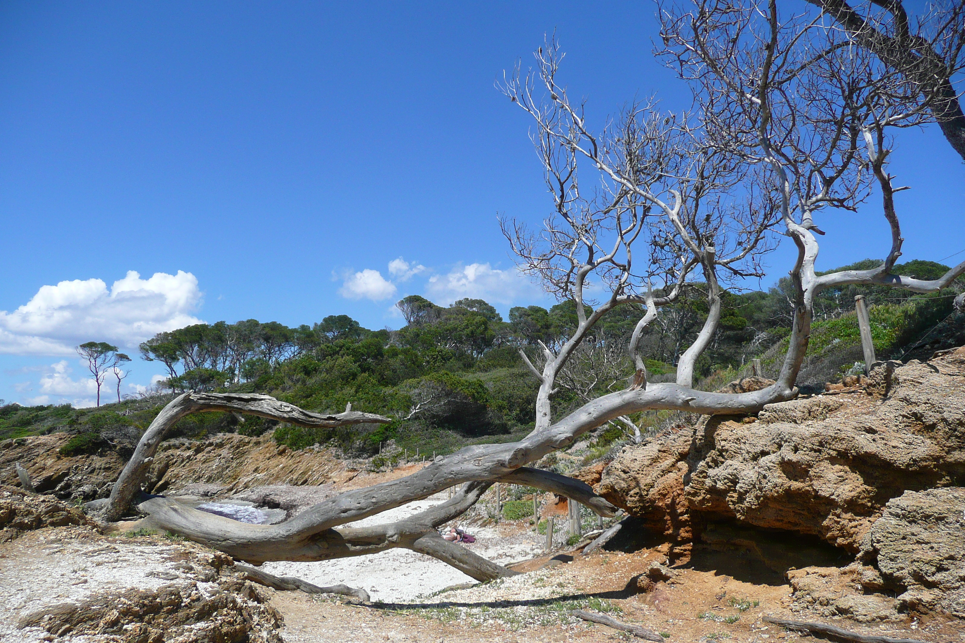 รูปถ่าย ฝรั่งเศส(France) เกาะปอร์เกอรอล(Porquerolles Island) หาดเลอแก็ง(Lequin beach) 2008-05 15