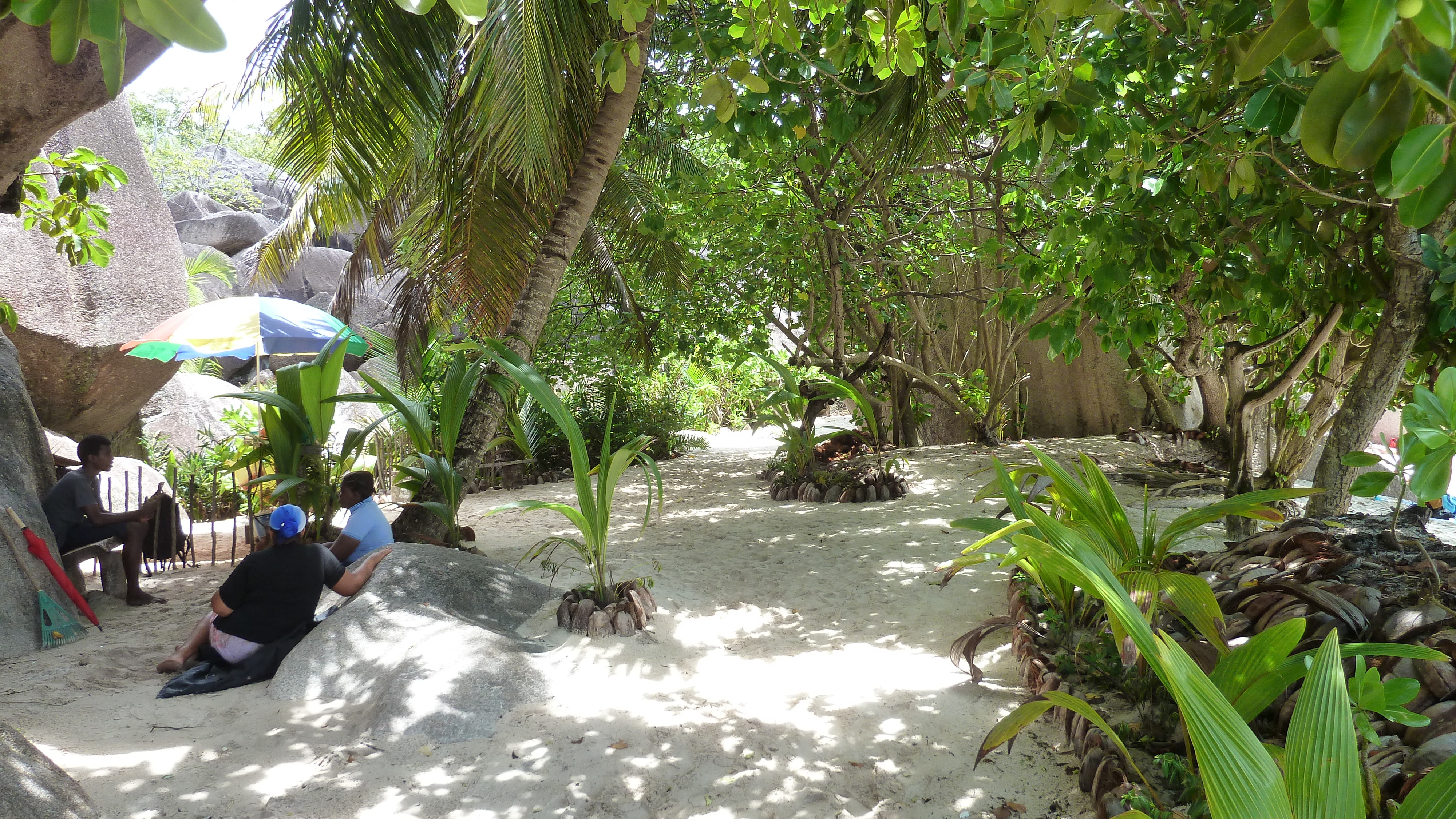 รูปถ่าย เซเชลส์(Seychelles) เกาะลาดีก(La Digue) 2011-10 225
