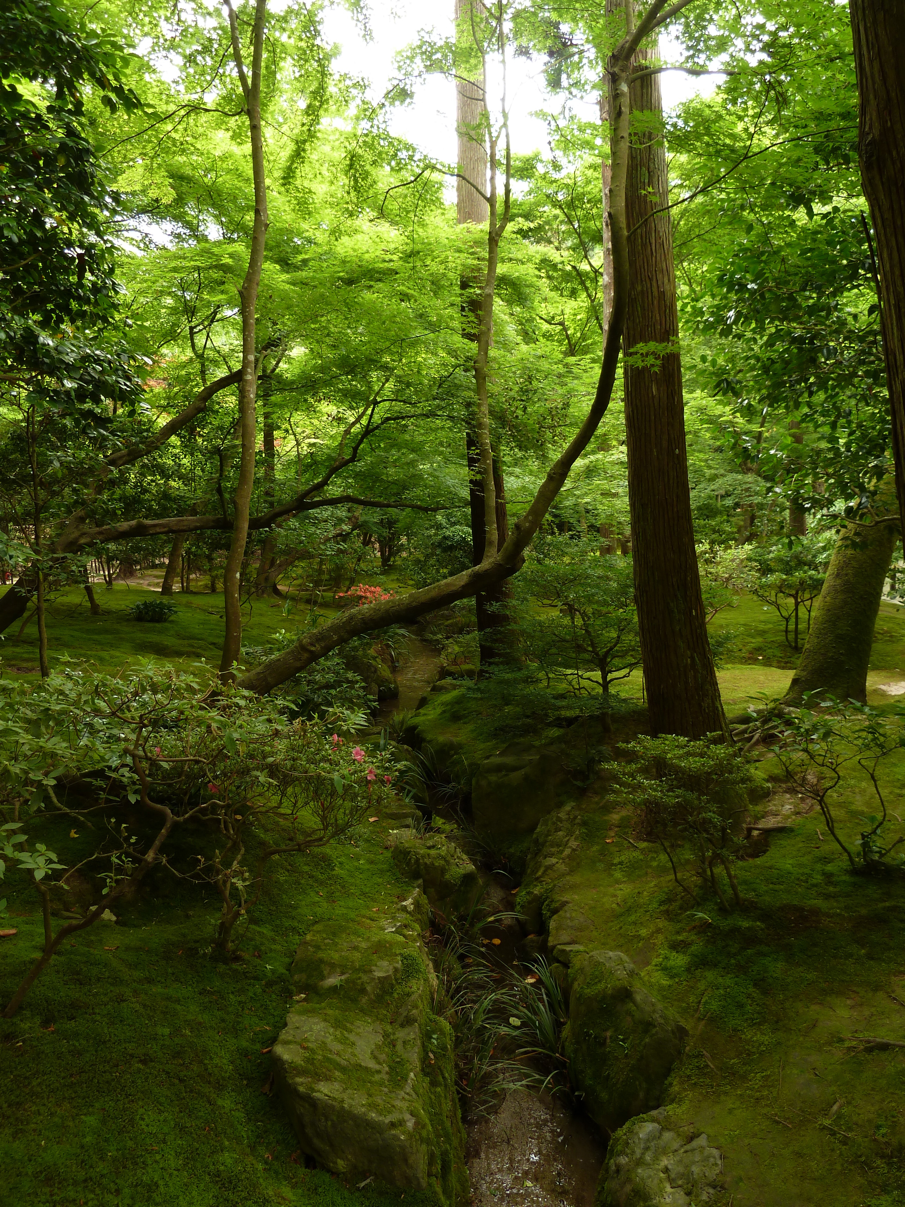 รูปถ่าย ญี่ปุ่น(Japan) เกียวโต(Kyoto) วัดกินกะกุจิ (ศาลาเงิน)(Ginkakuji Temple(Silver Pavilion)) 2010-06 74