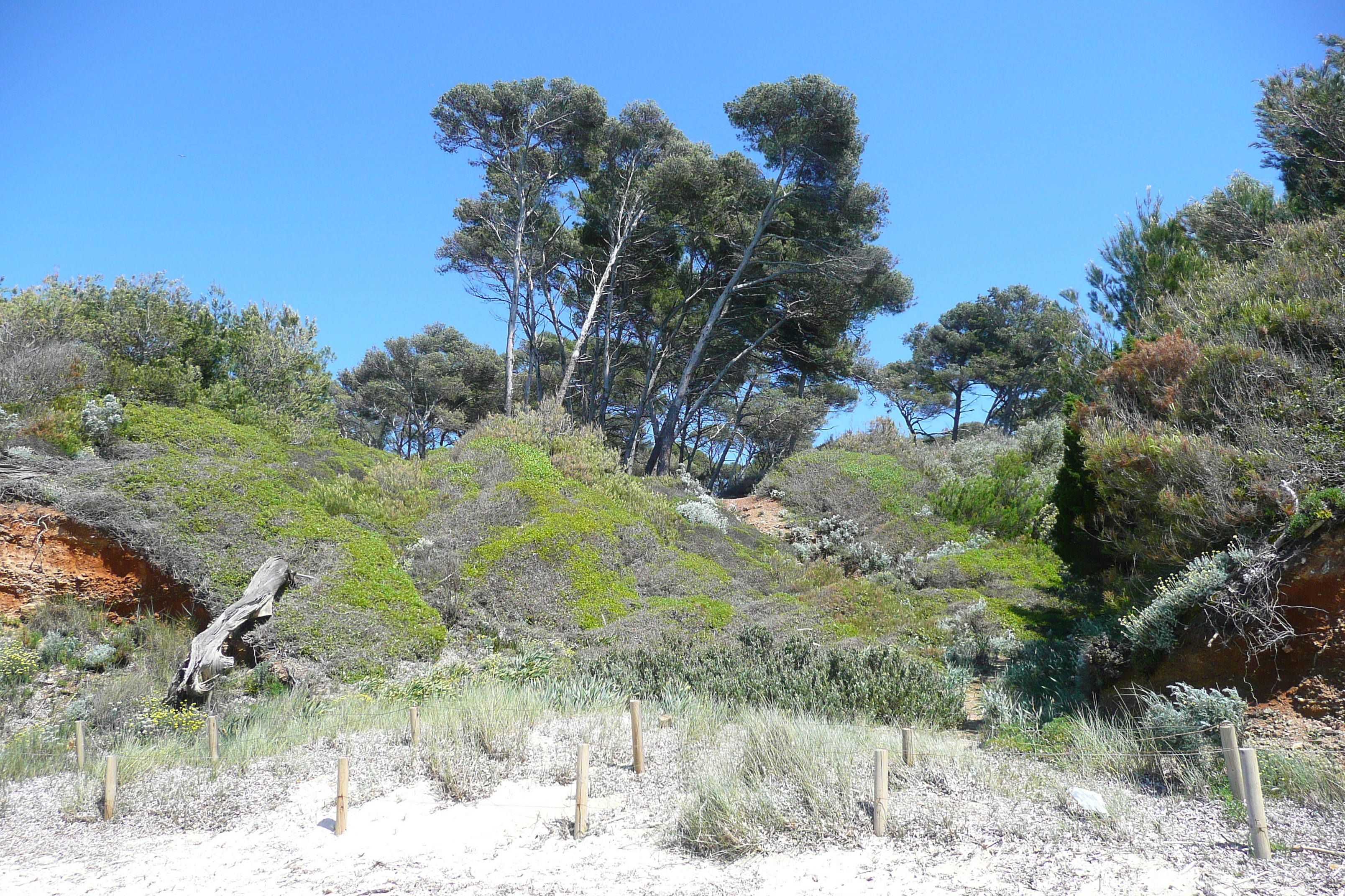 รูปถ่าย ฝรั่งเศส(France) เกาะปอร์เกอรอล(Porquerolles Island) หาดเลอแก็ง(Lequin beach) 2008-05 6