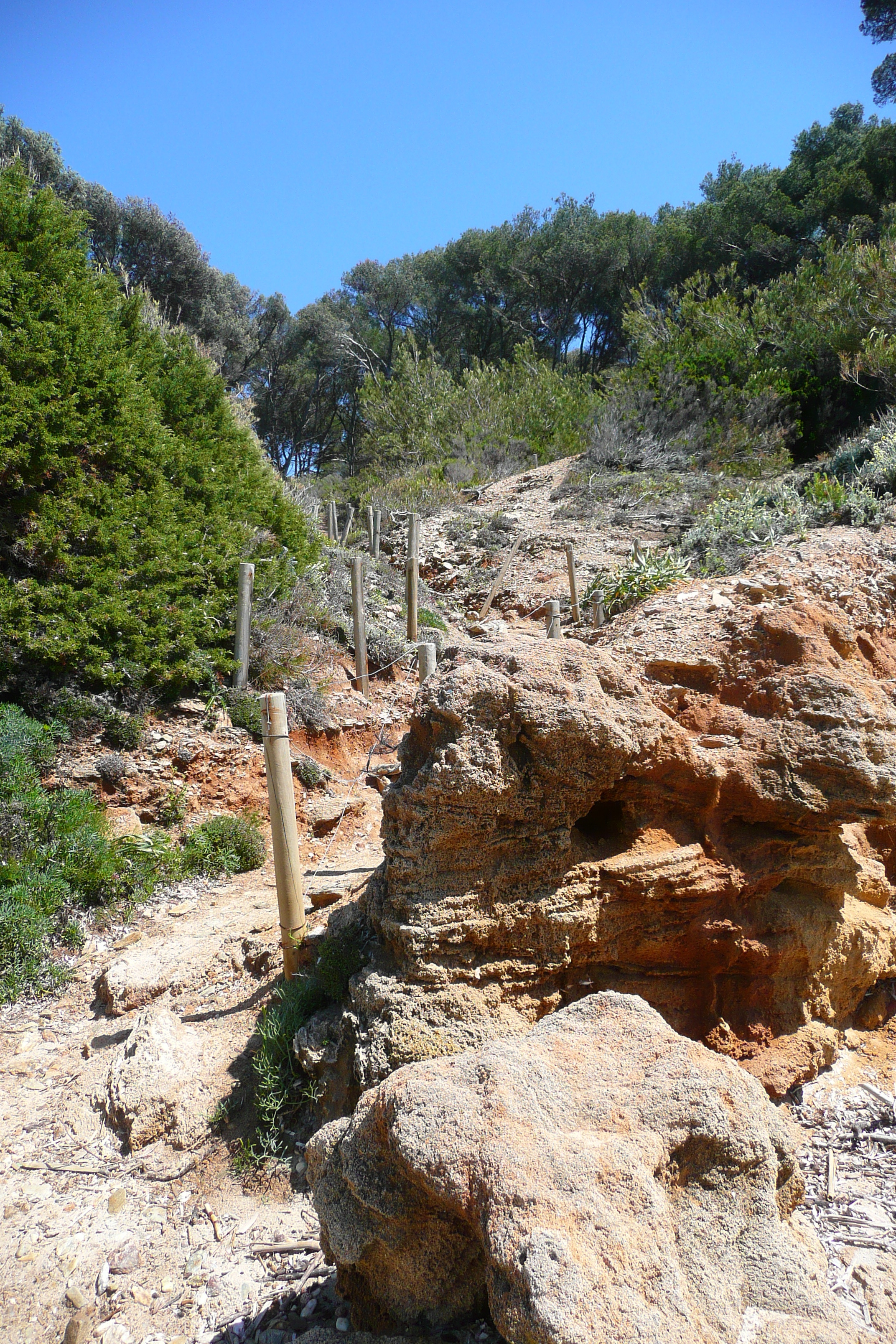 รูปถ่าย ฝรั่งเศส(France) เกาะปอร์เกอรอล(Porquerolles Island) หาดเลอแก็ง(Lequin beach) 2008-05 9