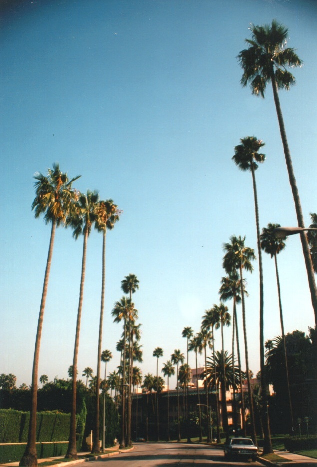 รูปถ่าย สหรัฐอเมริกา(United States) เบเวอร์ลีฮิลส์(Beverly Hills) 1992-08 13