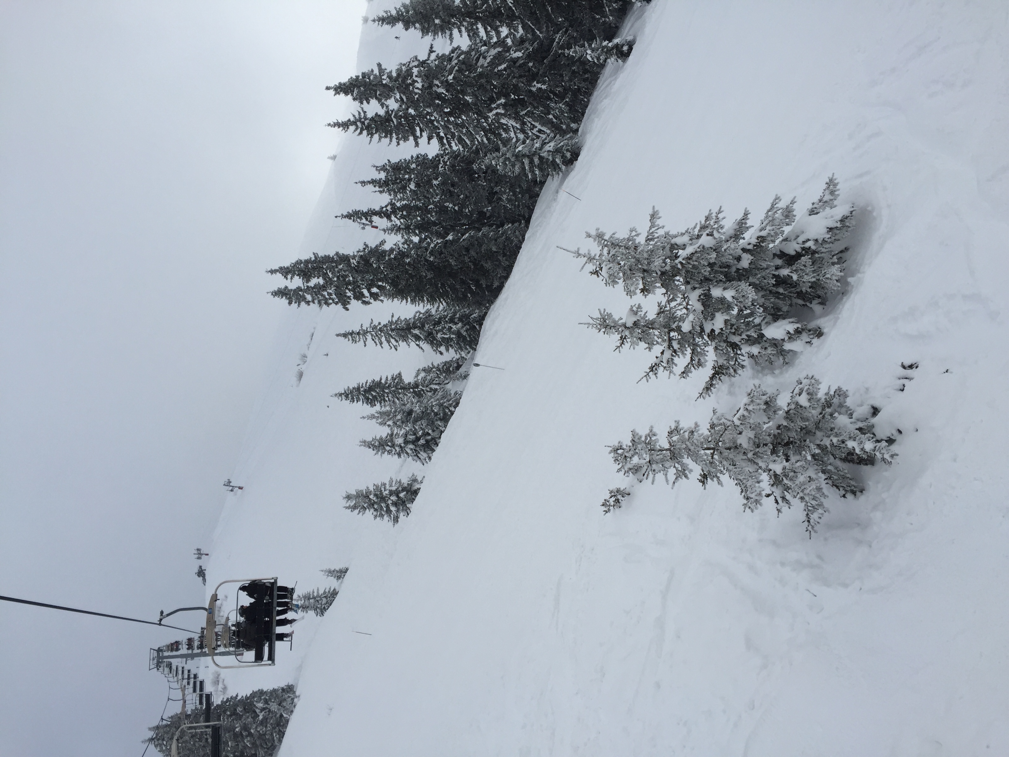 รูปถ่าย ฝรั่งเศส(France) เมแฌฟว์(Megeve) 2016-02 90