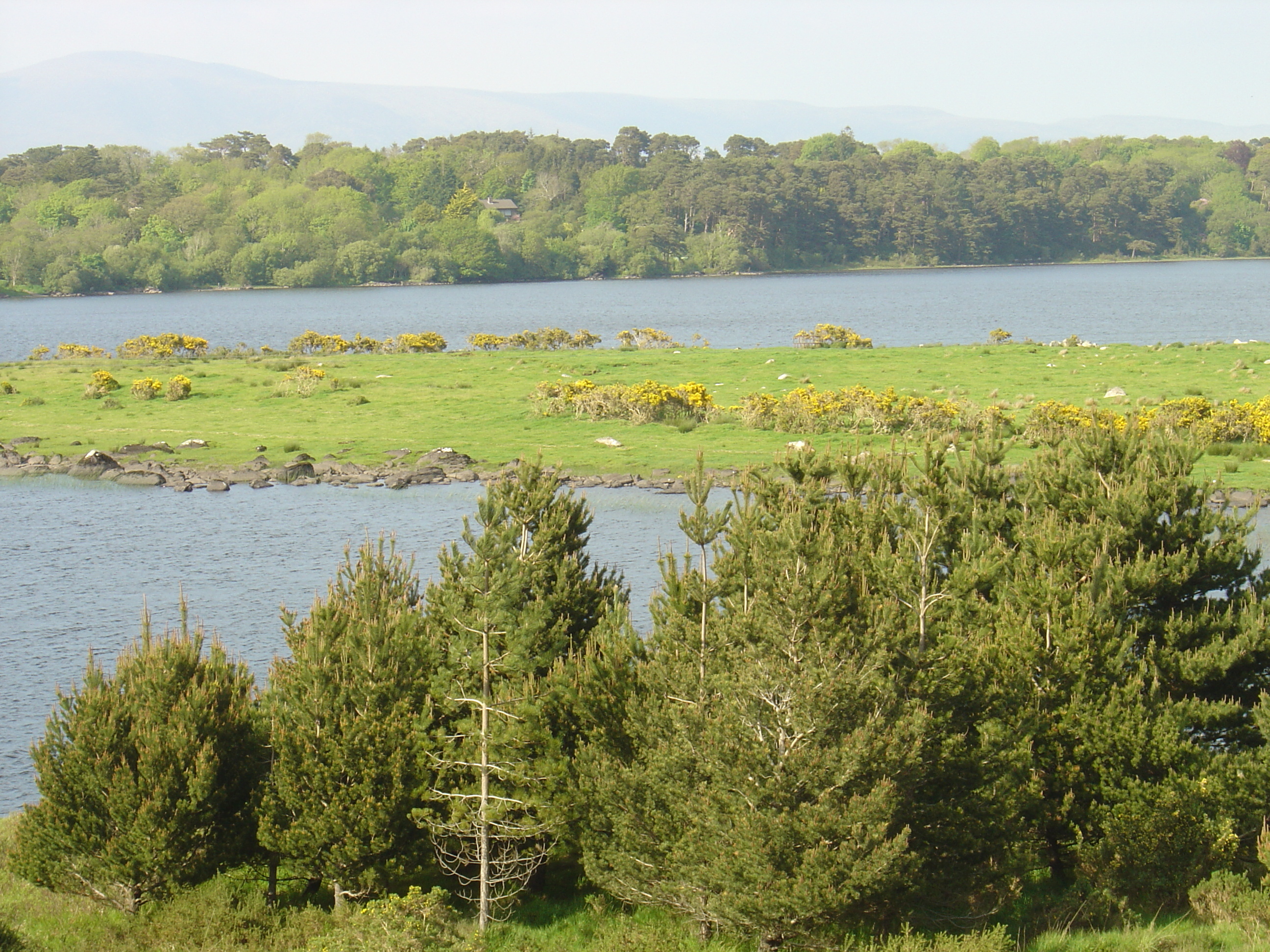 รูปถ่าย ไอร์แลนด์(Ireland) เคอร์รี่(Kerry) ทะเลสาบคารา(Caragh Lake) 2004-05 41