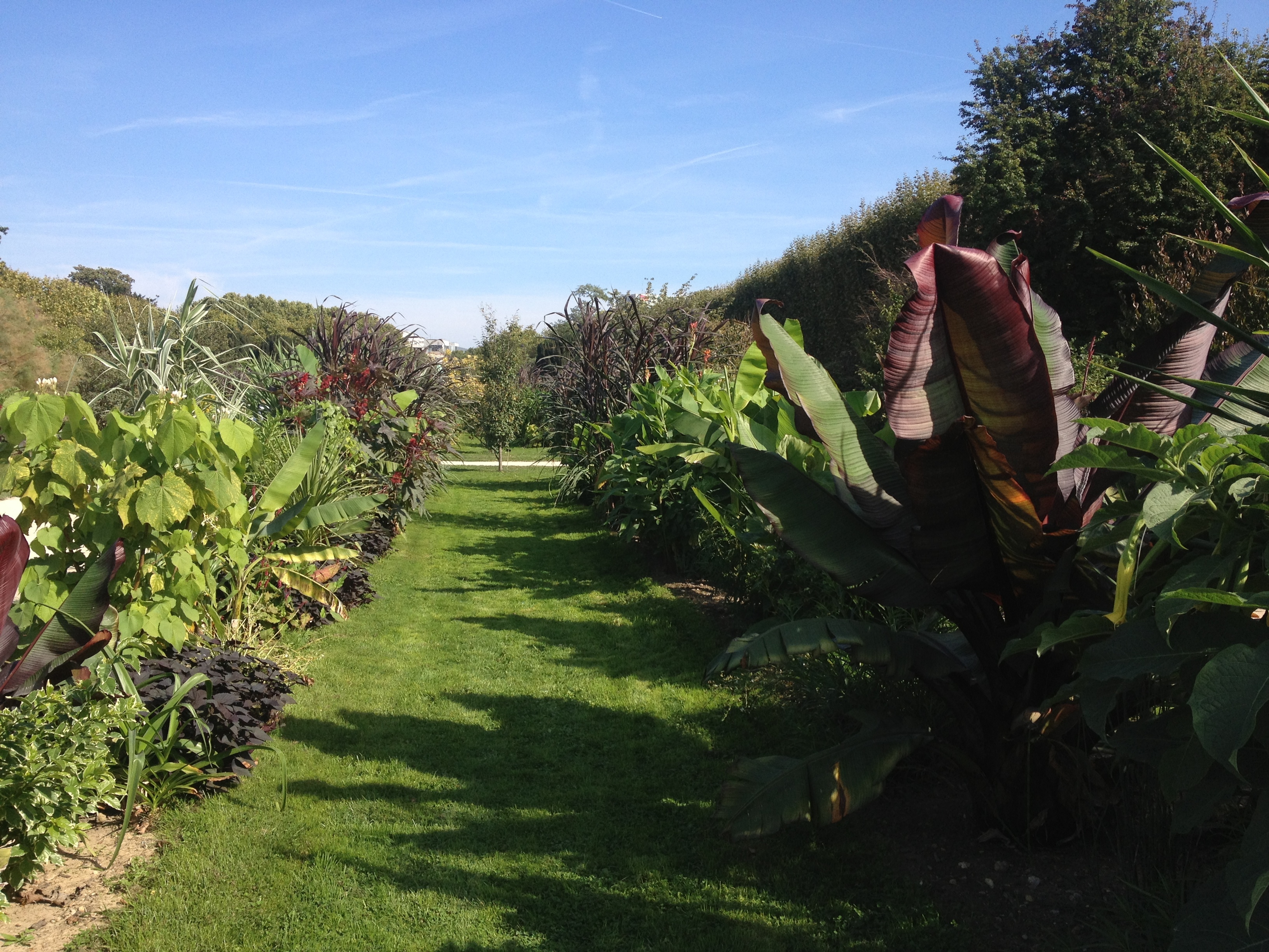 รูปถ่าย ฝรั่งเศส(France) ปารีส(Paris) สวนพันธ์ุพืช(Jardin des Plantes) 2014-09 29