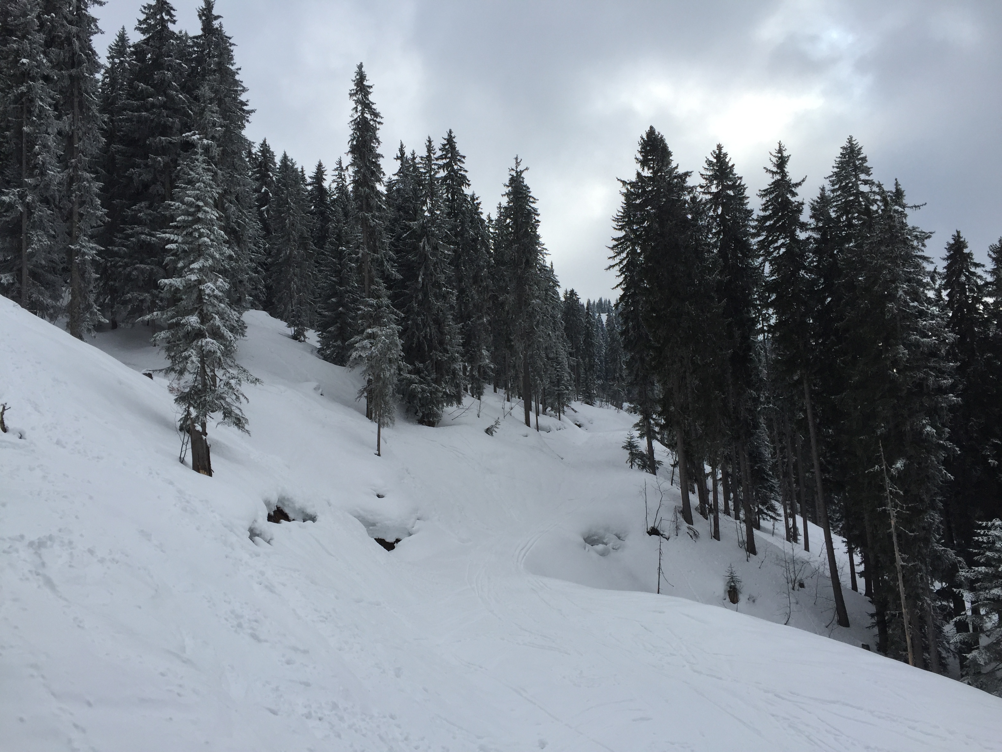 รูปถ่าย ฝรั่งเศส(France) เมแฌฟว์(Megeve) 2016-02 89