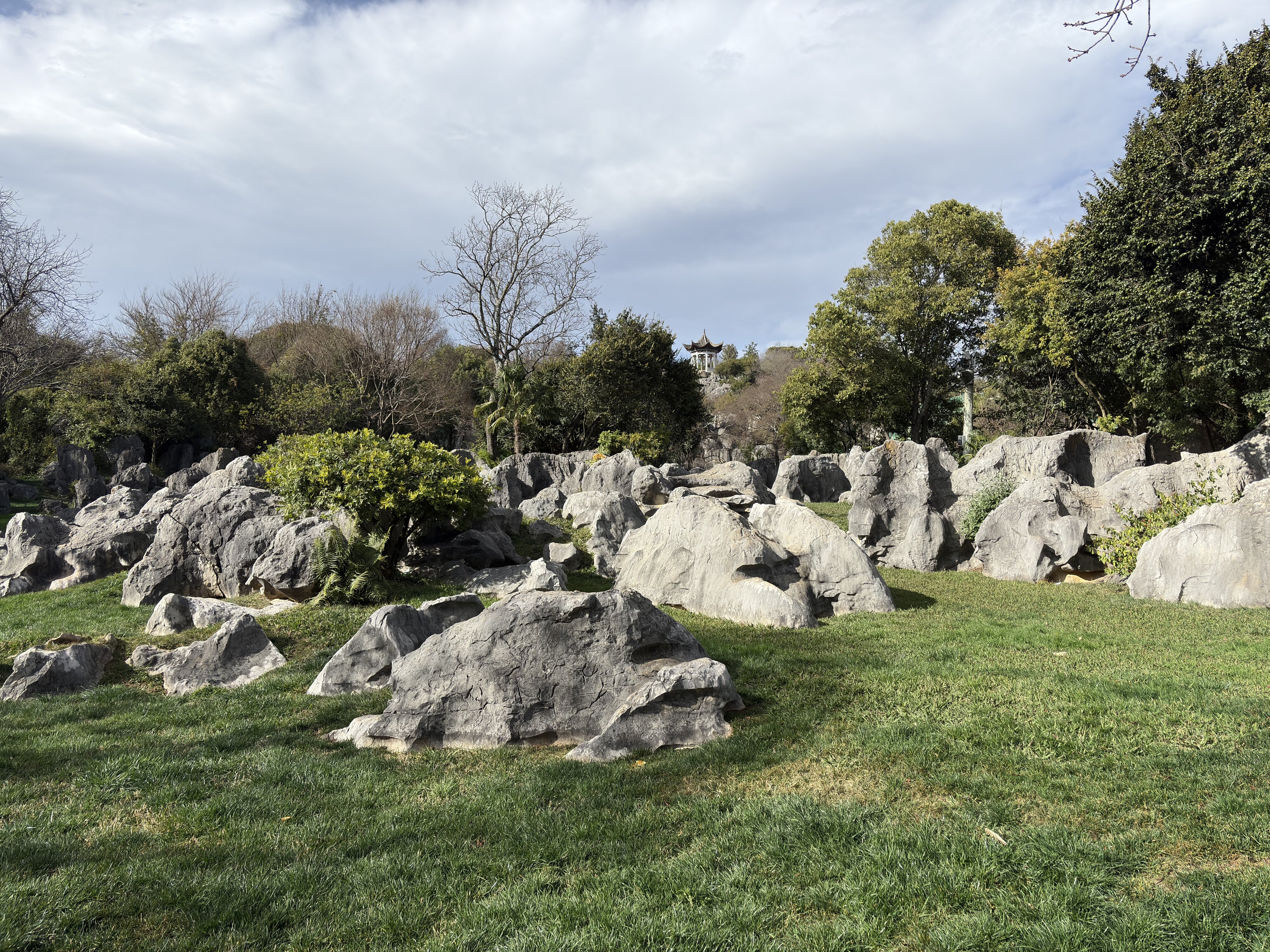 รูปถ่าย จีน(China) ป่าหินสือหลิน(Shilin Stone Forest) 2026-01 78