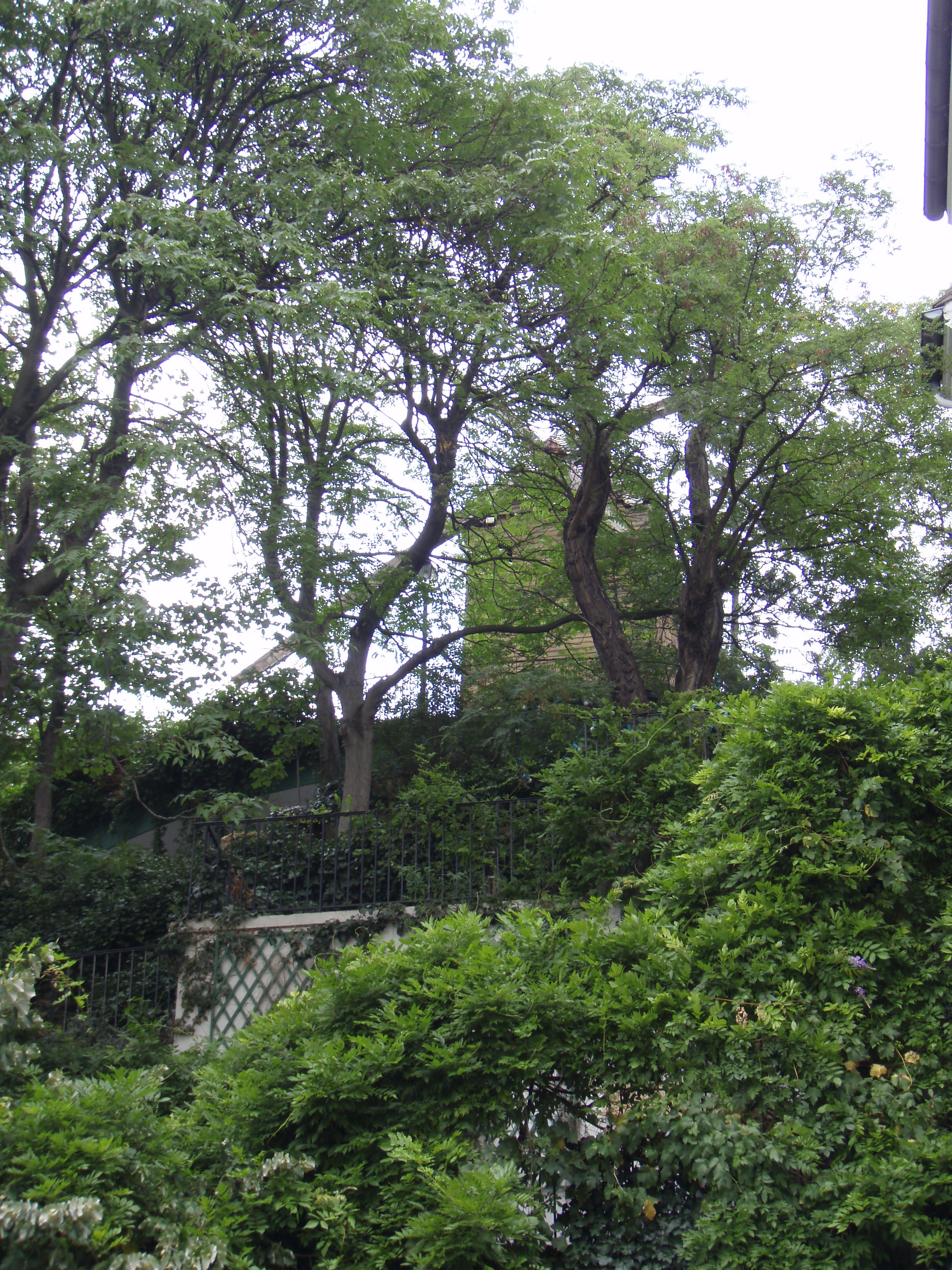 รูปถ่าย ฝรั่งเศส(France) ปารีส(Paris) คุ้ม 18 ในปารีส(18th Arrondissement) 2007-07 68