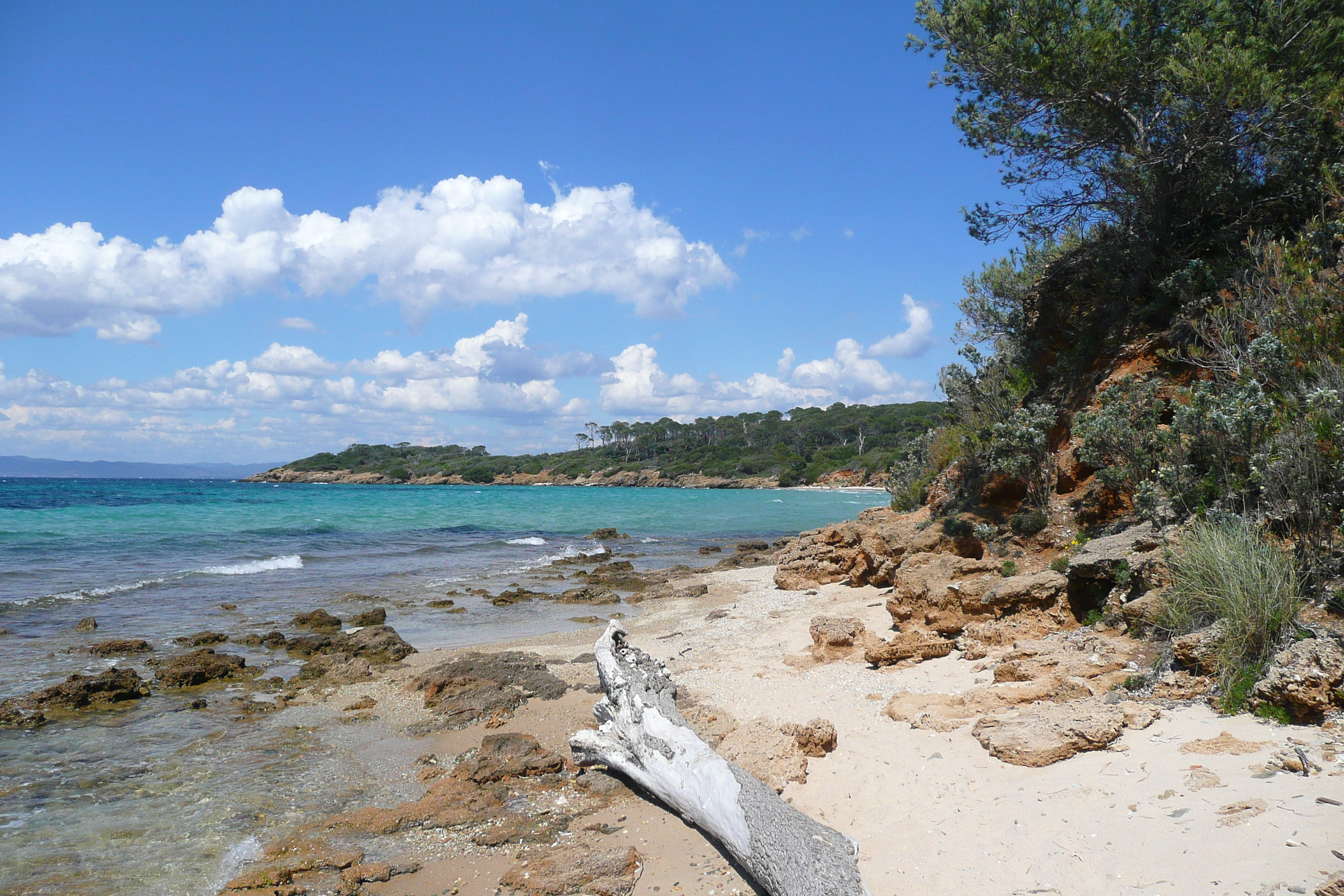 รูปถ่าย ฝรั่งเศส(France) เกาะปอร์เกอรอล(Porquerolles Island) หาดกูร์ตาด(Courtade beach) 2008-05 58