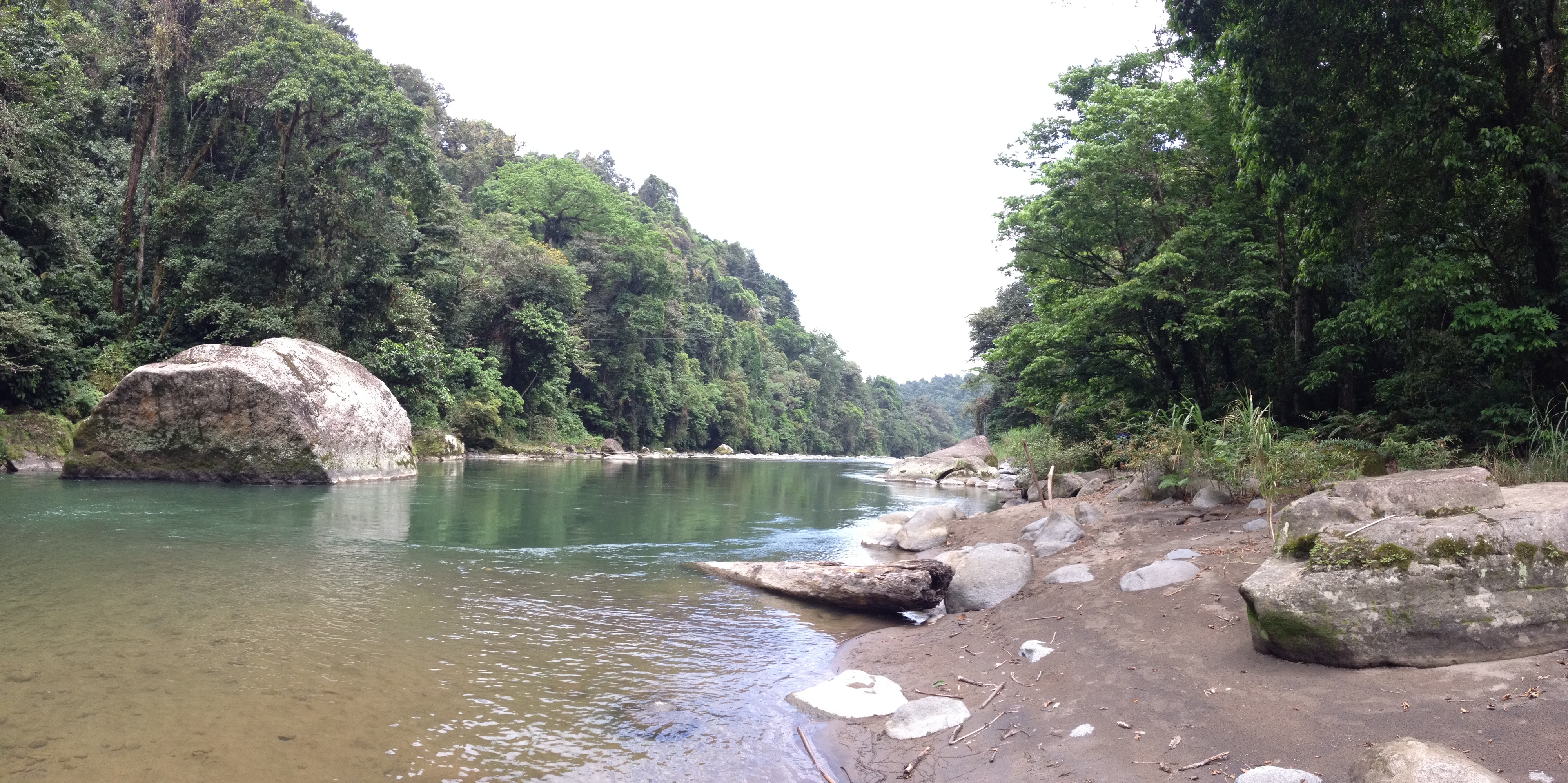 รูปถ่าย คอสตาริกา(Costa Rica) แม่น้ำปากัวเร(Pacuare River) 2015-03 267