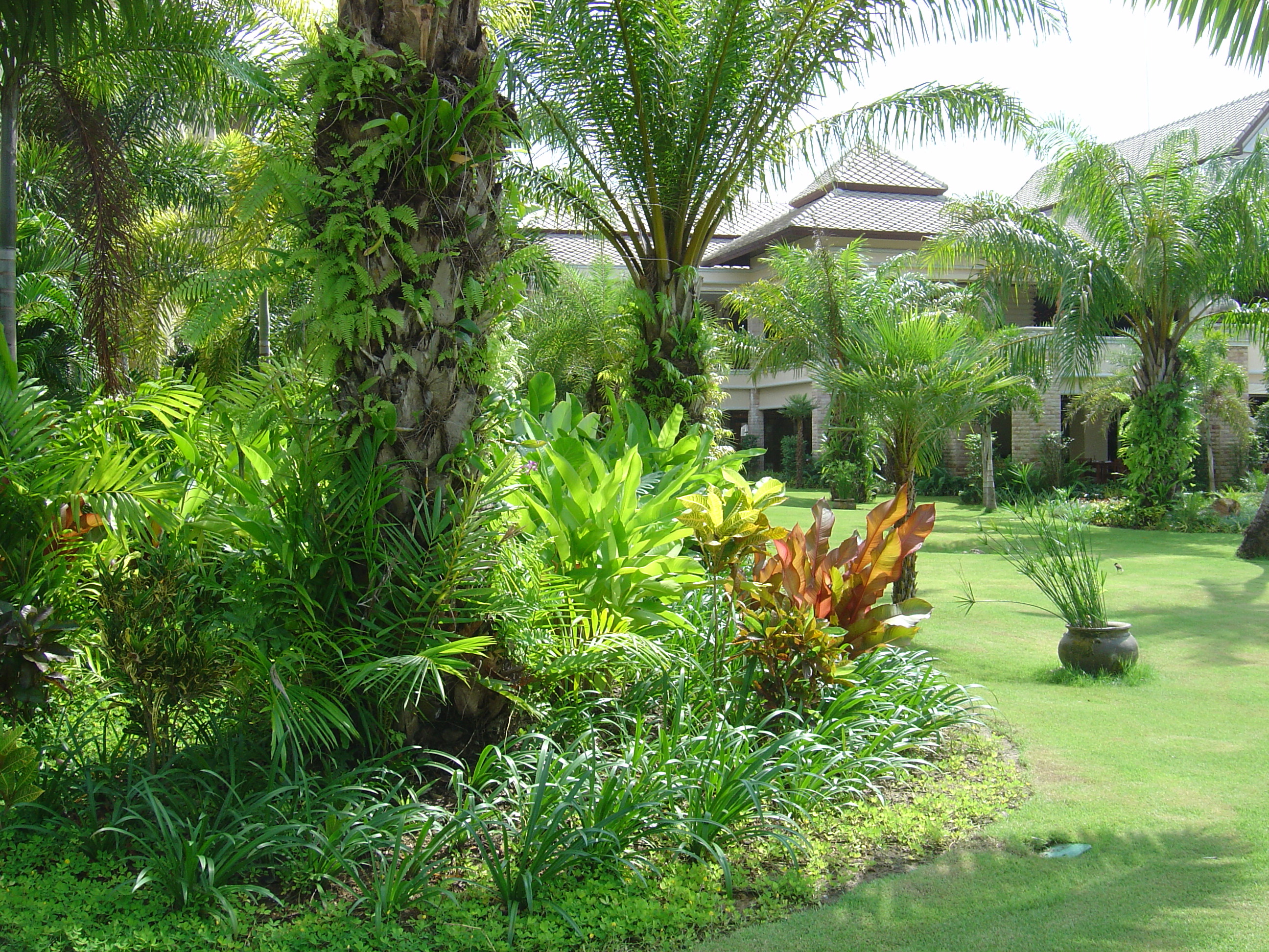 รูปถ่าย ไทย(Thailand) เขาหลัก(Khao Lak) โรงแรมเลอเมอริเดียน เขาหลัก(Meridien Khao Lak Hotel) 2005-12 149