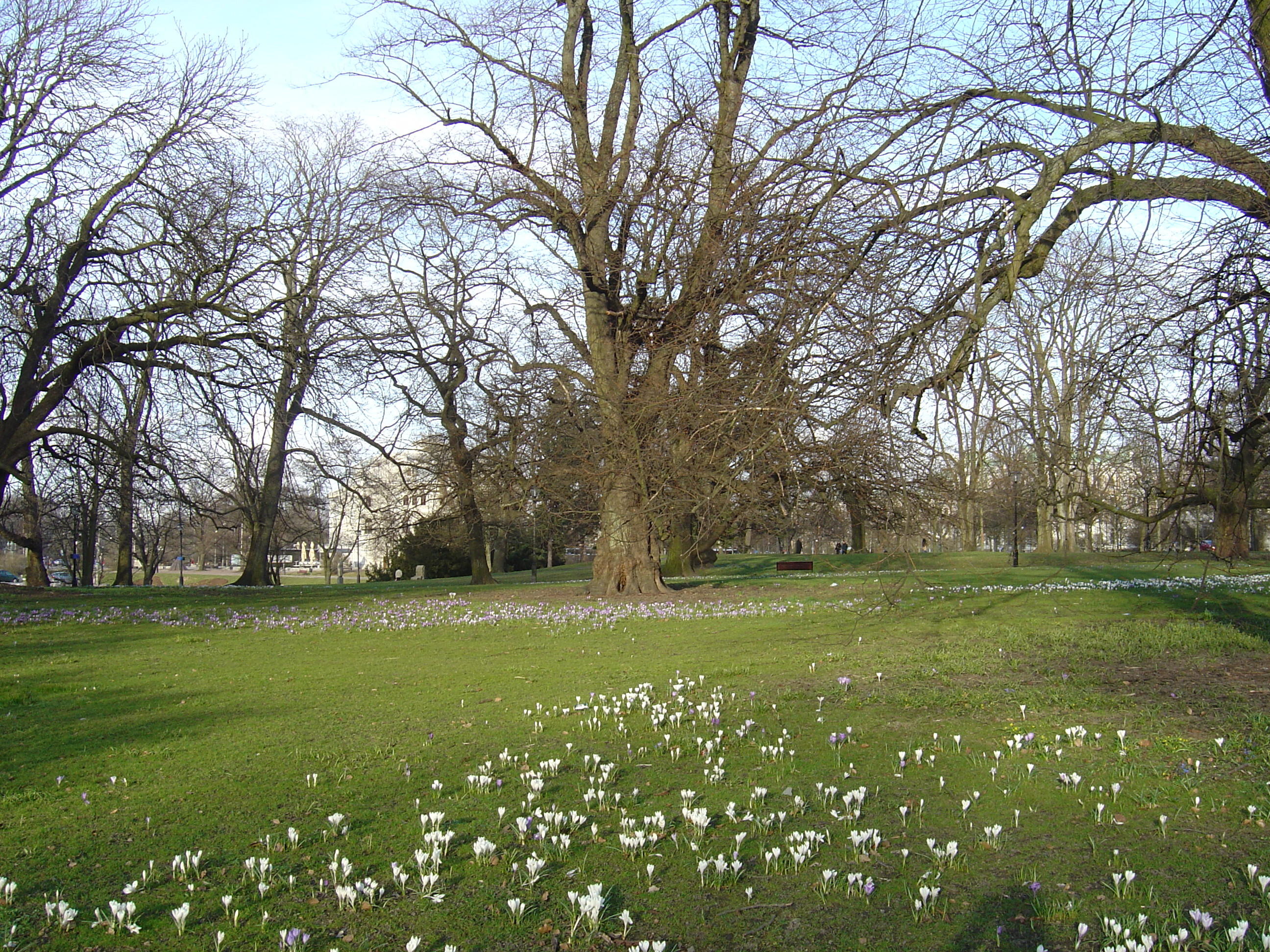 รูปถ่าย สวีเดน(Sweden) โกเธนเบิร์ก(Gothenburg) 2005-04 95