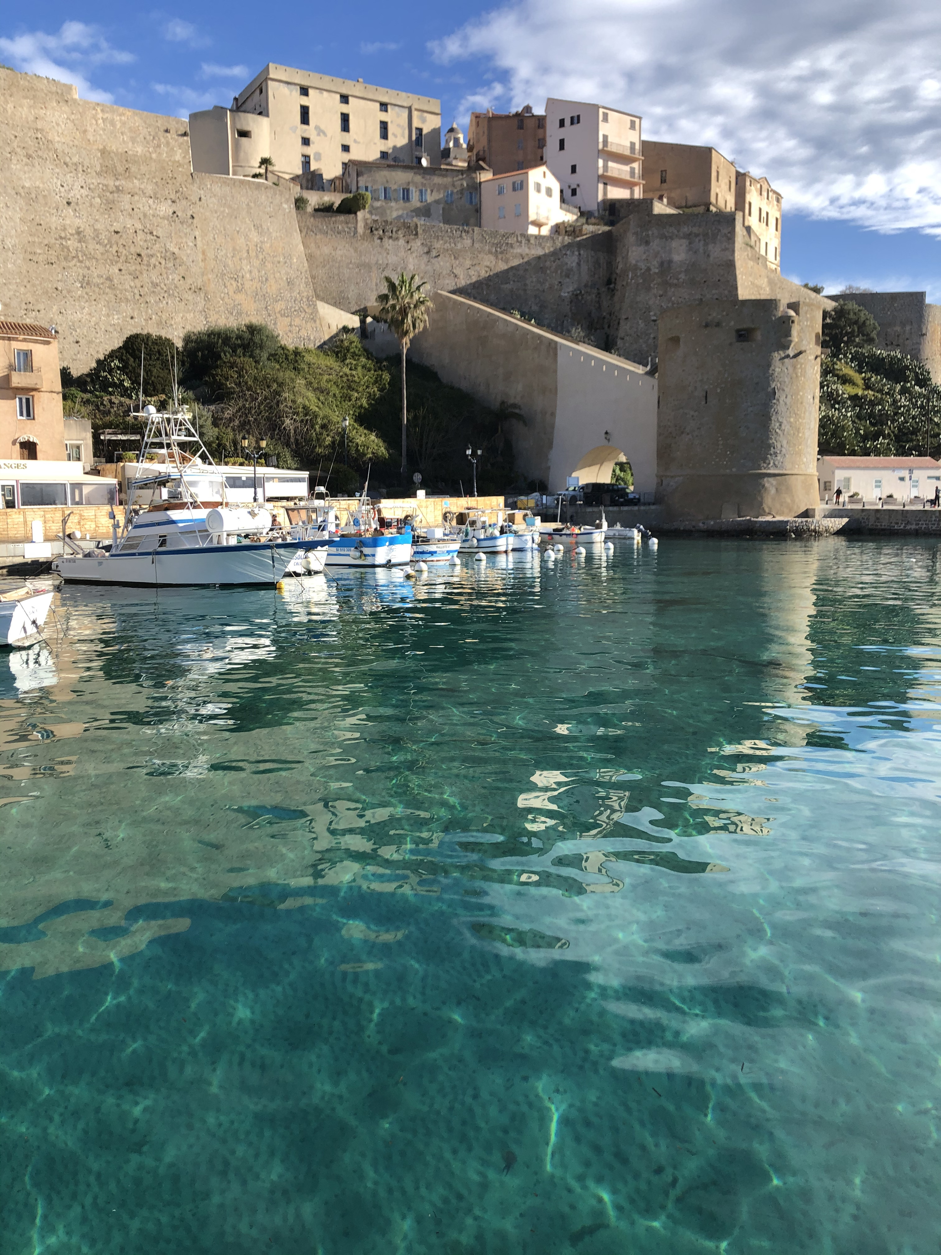 รูปถ่าย ฝรั่งเศส(France) คอร์สิคา(Corsica) 2021-05 23