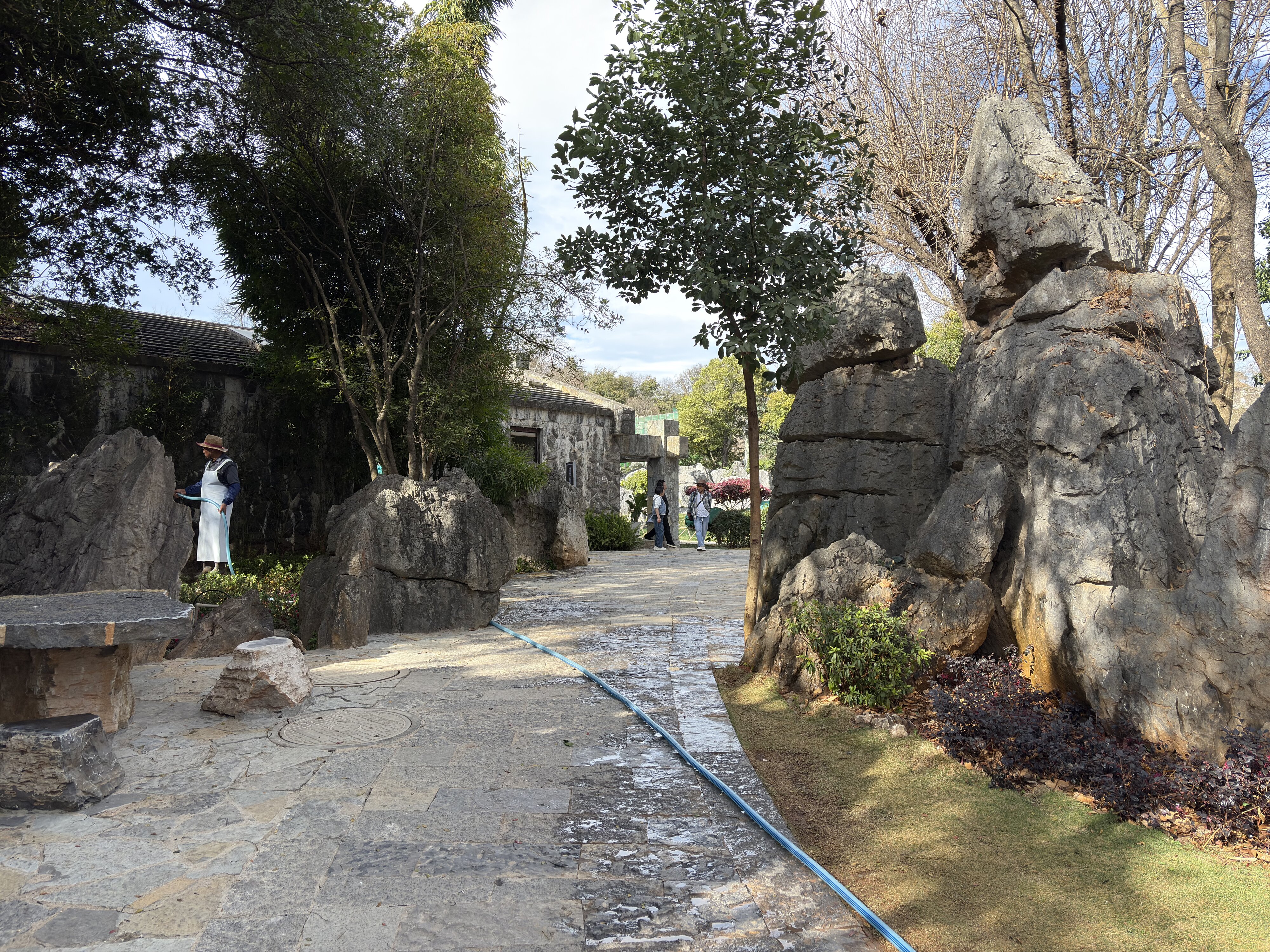 รูปถ่าย จีน(China) ป่าหินสือหลิน(Shilin Stone Forest) 2026-01 13