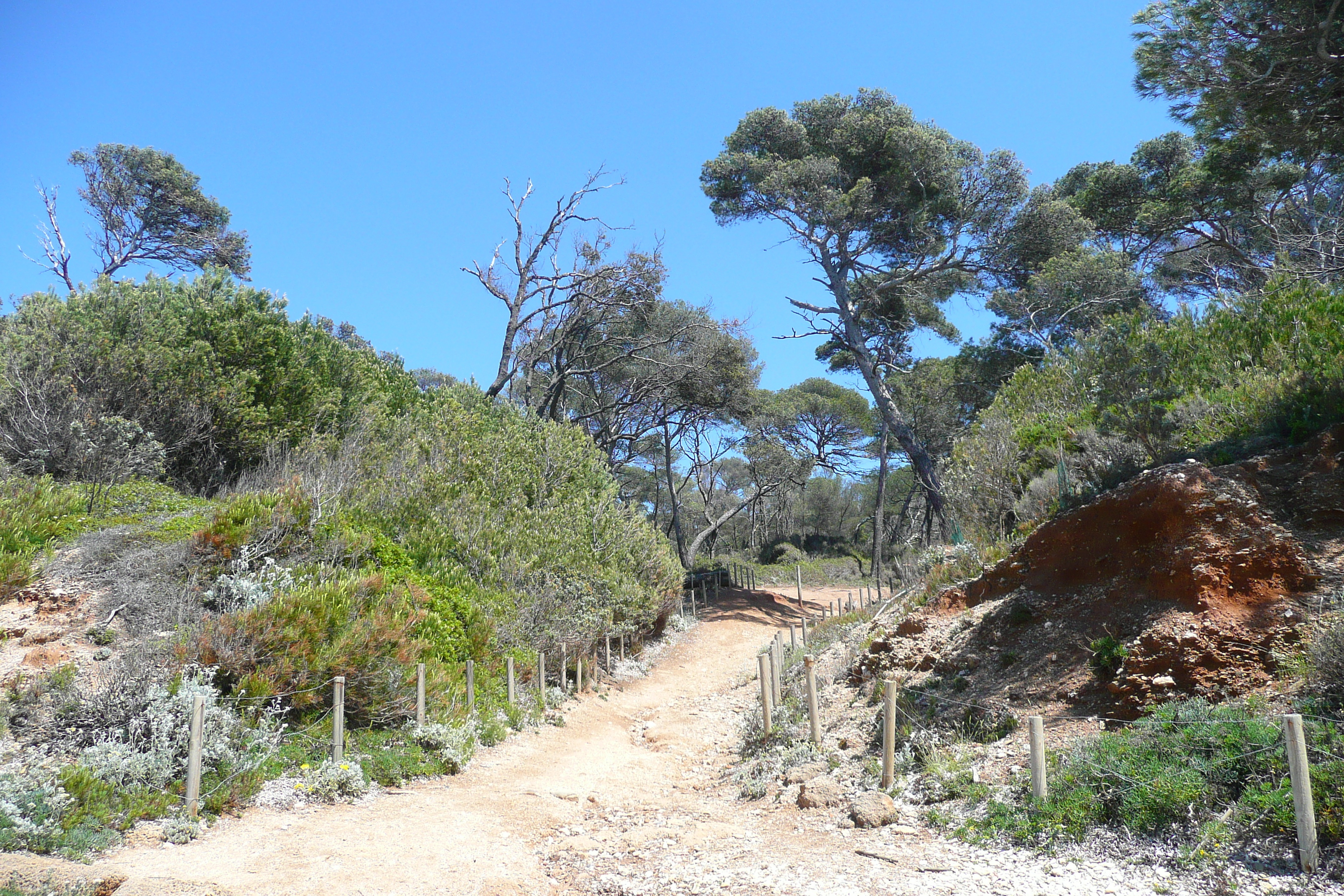 รูปถ่าย ฝรั่งเศส(France) เกาะปอร์เกอรอล(Porquerolles Island) หาดกูร์ตาด(Courtade beach) 2008-05 74