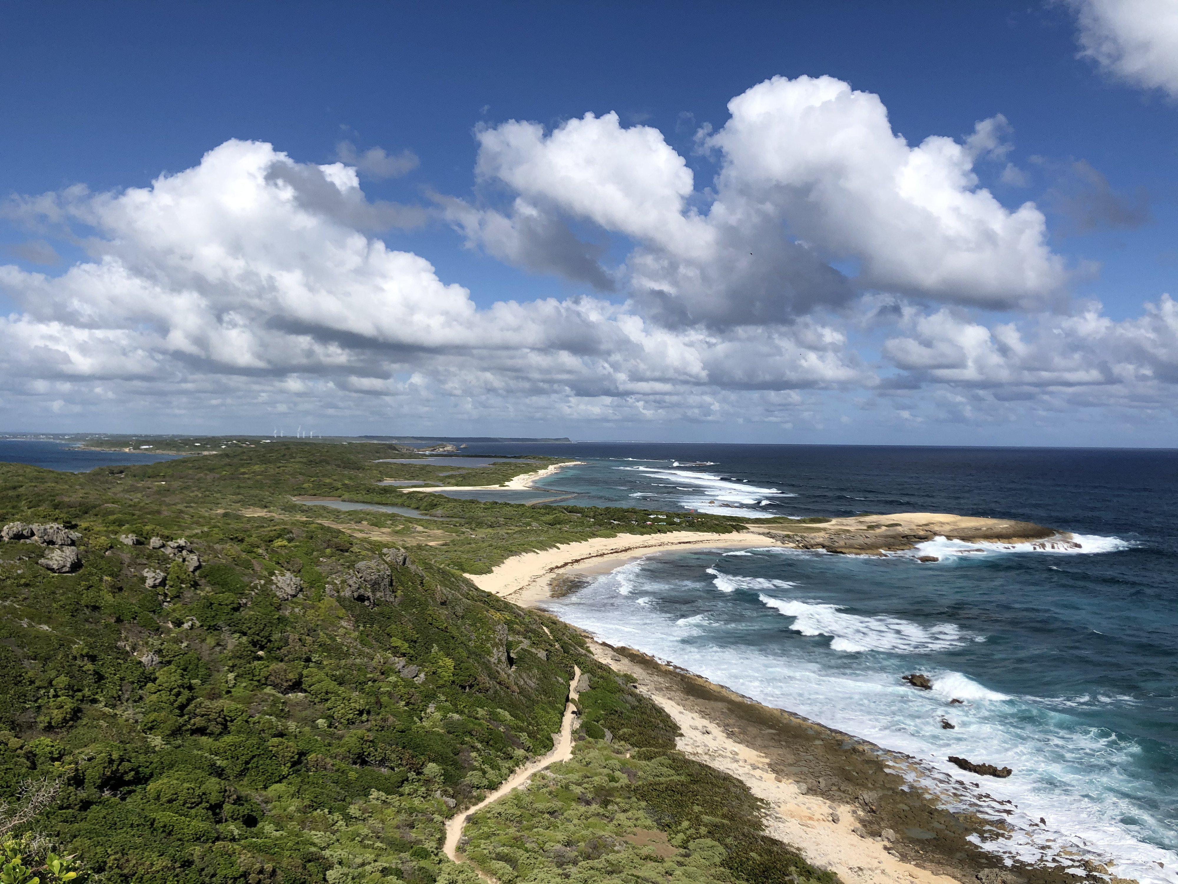 รูปถ่าย กวาเดอลูป(Guadeloupe) แหลมคาสเซิลพอยต์(Castle Point) 2021-02 354