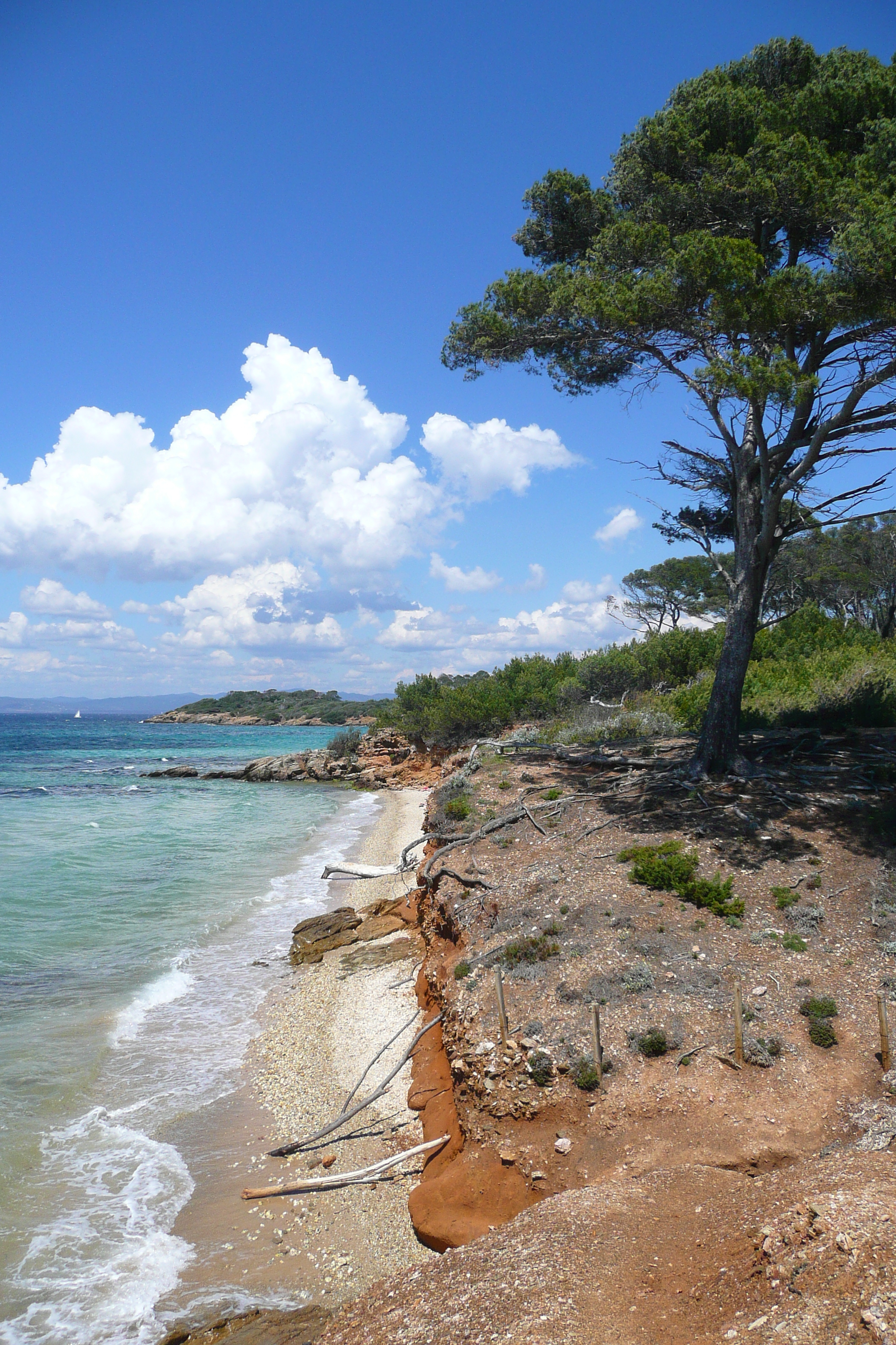 รูปถ่าย ฝรั่งเศส(France) เกาะปอร์เกอรอล(Porquerolles Island) หาดกูร์ตาด(Courtade beach) 2008-05 41