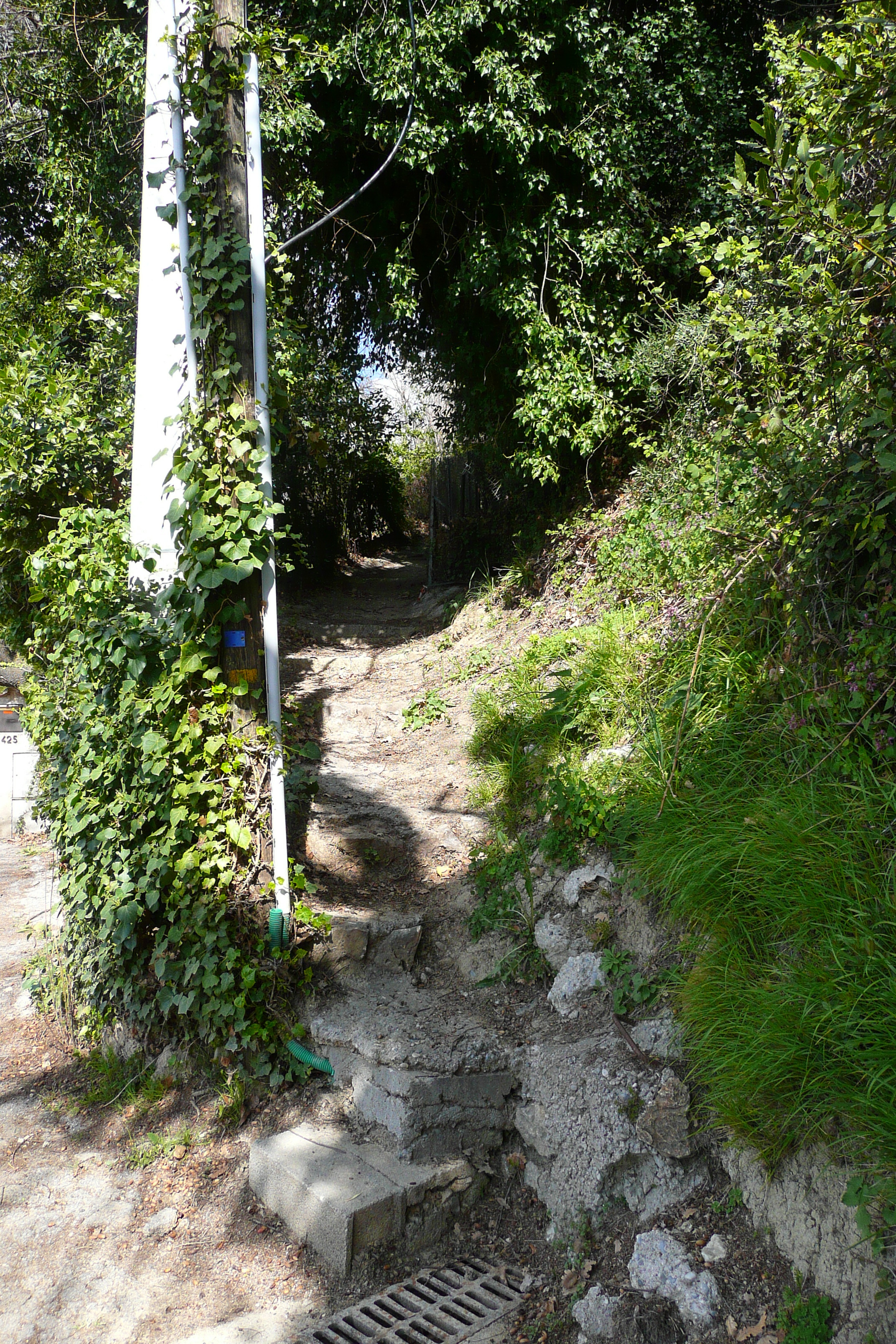 รูปถ่าย ฝรั่งเศส(France) วังซ์(Vence) โอเดอว็องส์(Hauts de Vence) 2008-03 1