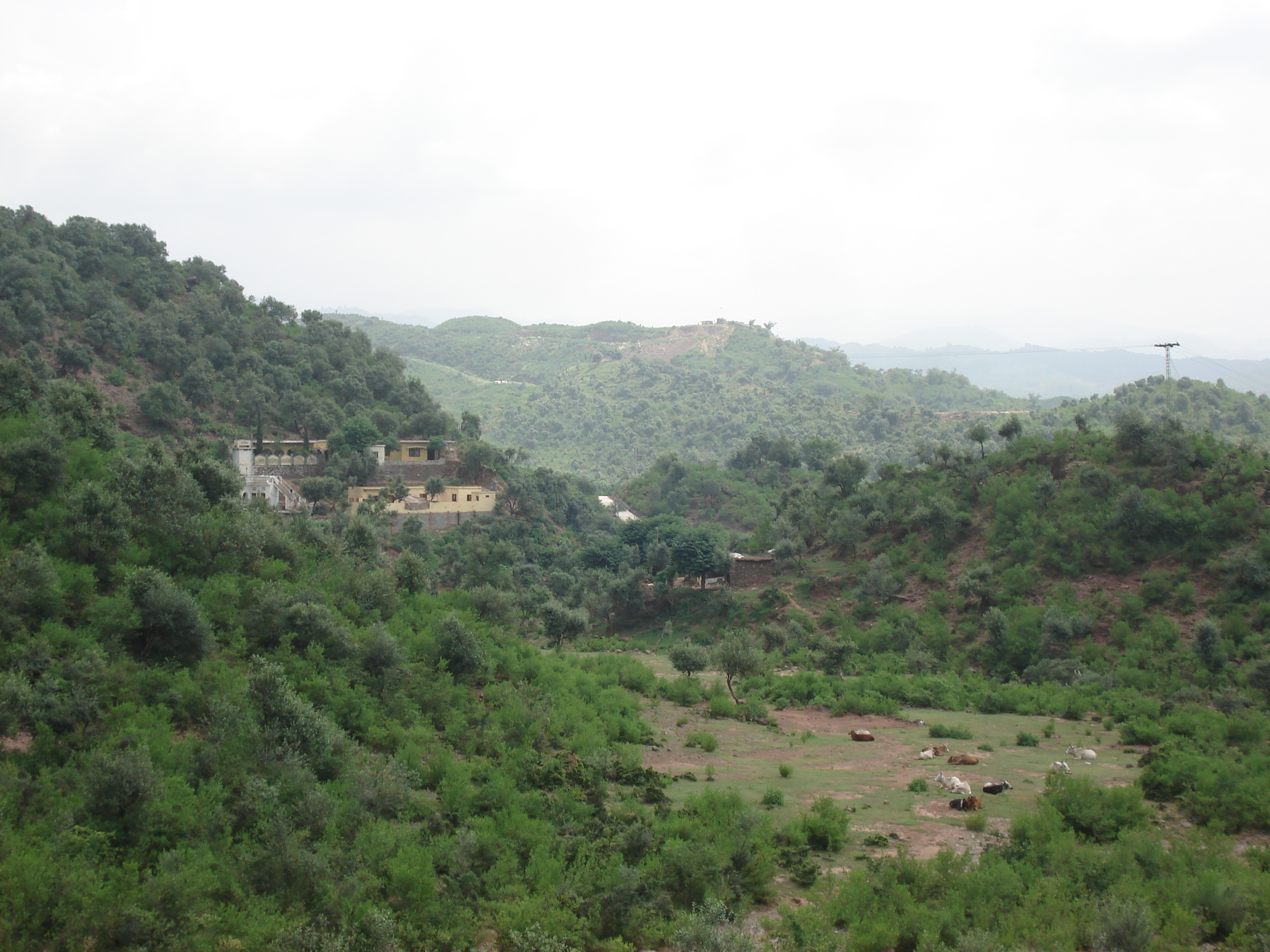 รูปถ่าย ปากีสถาน(Pakistan) ถนนจากอิสลามาบัดไปมัรรี(Islamabad to Murree road) 2006-08 73