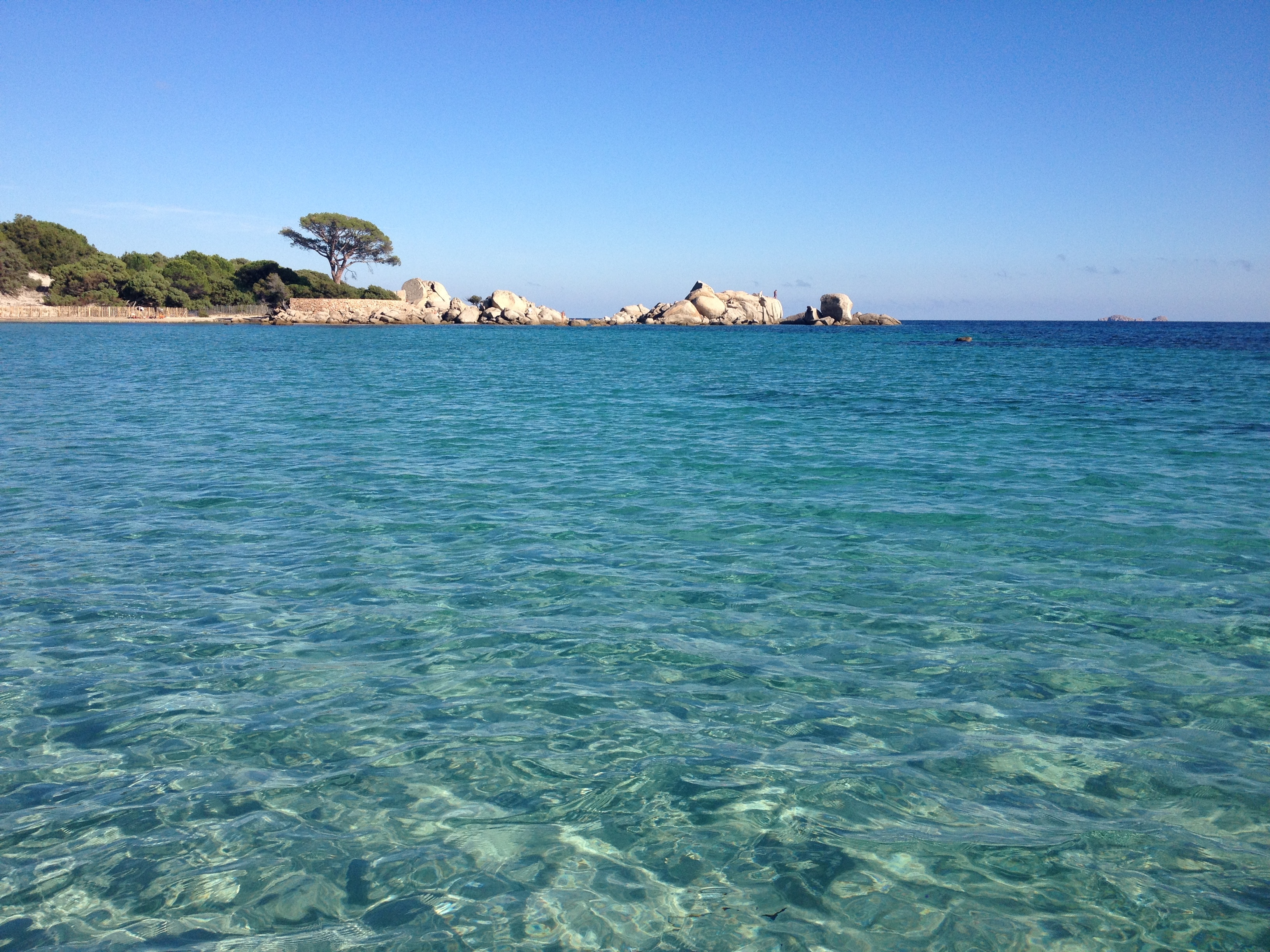 รูปถ่าย ฝรั่งเศส(France) คอร์สิคา(Corsica) ปาลอมบัจจา(Palombaggia) 2012-09 6
