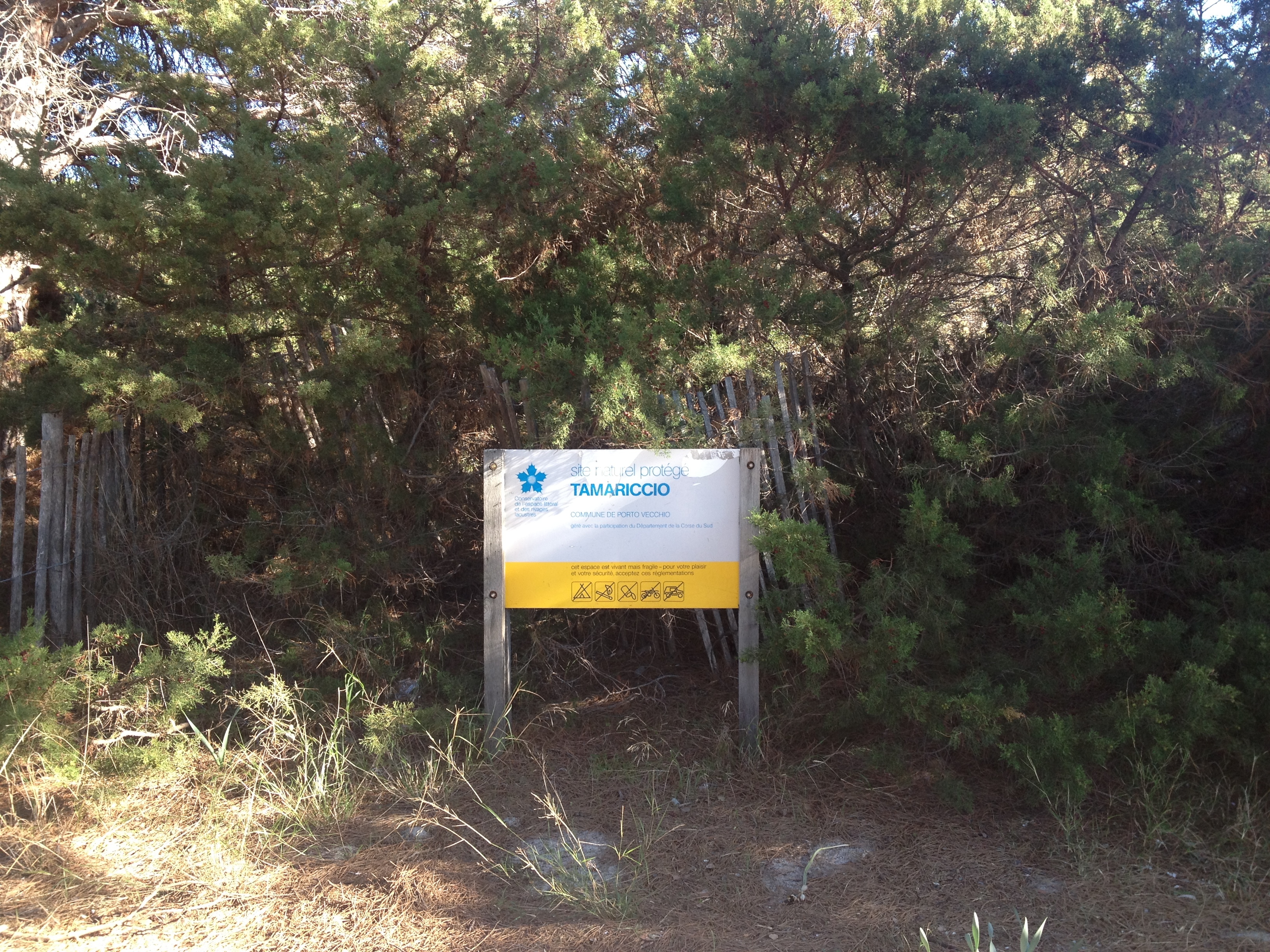 รูปถ่าย ฝรั่งเศส(France) คอร์สิคา(Corsica) ปาลอมบัจจา(Palombaggia) 2012-09 1