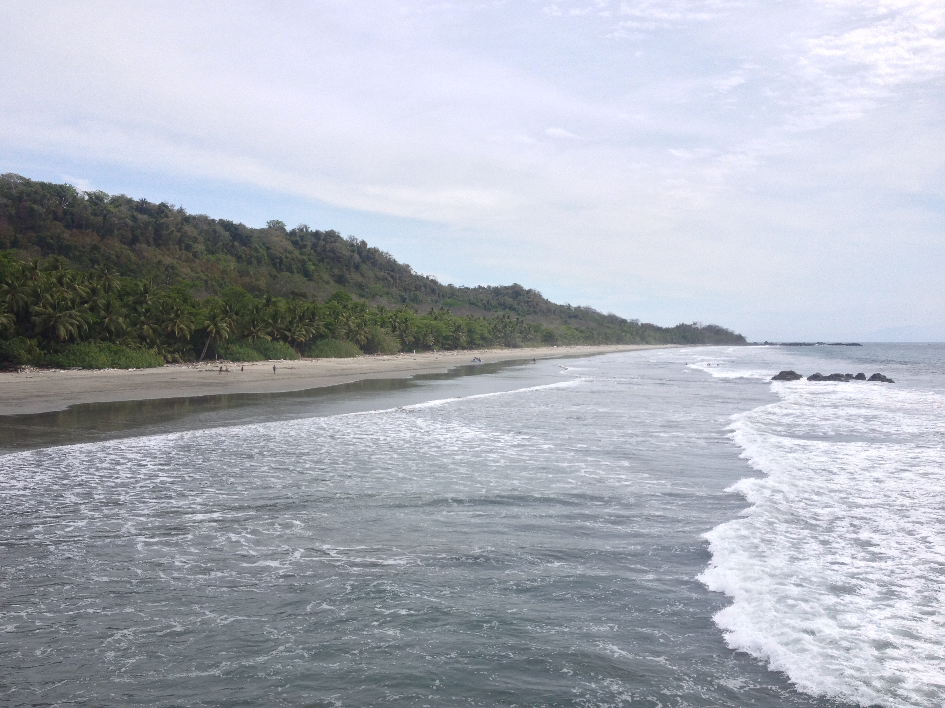 รูปถ่าย คอสตาริกา(Costa Rica) มอนเตซูมา(Montezuma) 2015-03 267