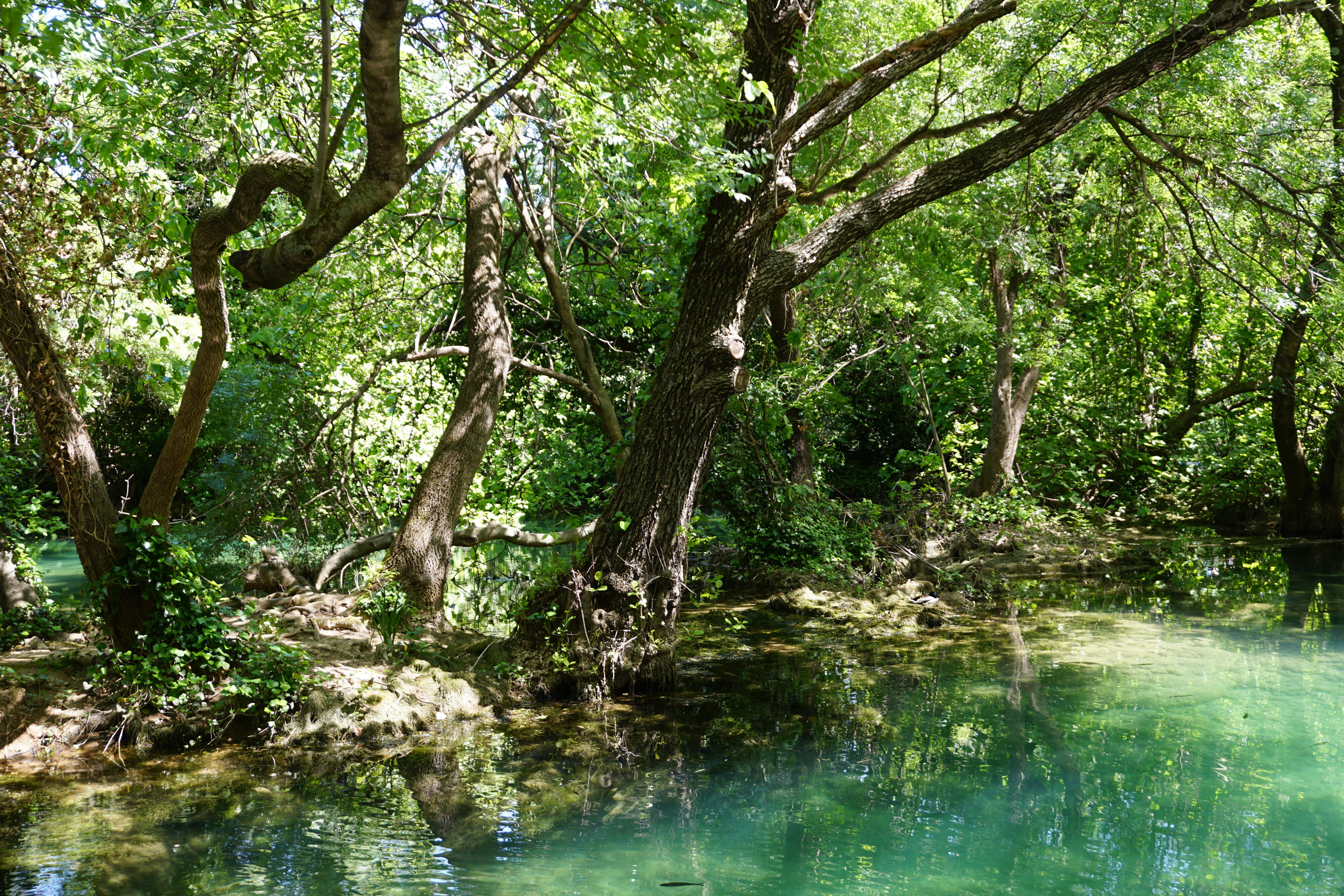 รูปถ่าย โครเอเชีย(Croatia) อุทยานแห่งชาติเคอร์คา(Krka National Park) 2016-04 154