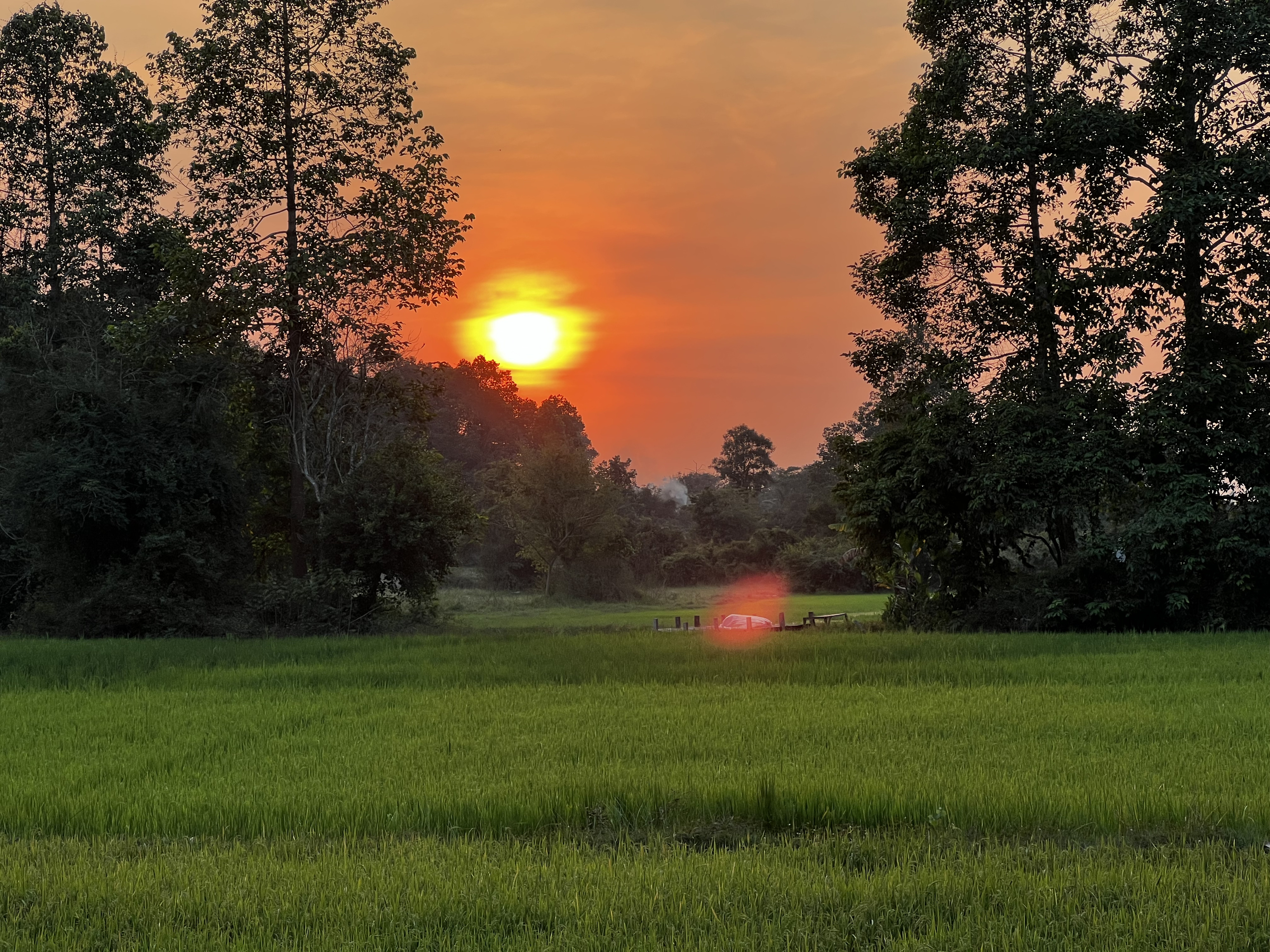 รูปถ่าย กัมพูชา(Cambodia) เสียมราฐ(Siem Reap) 2023-01 47