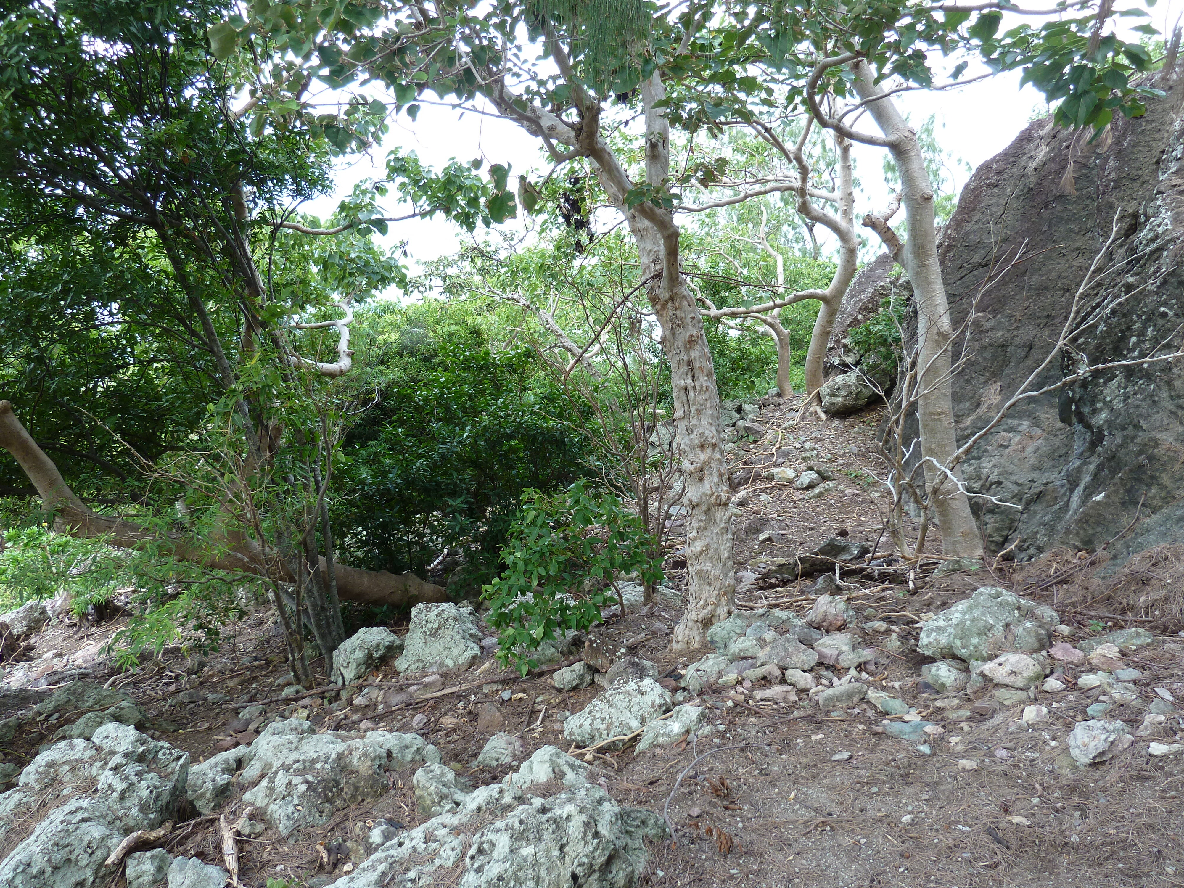 รูปถ่าย ฟิจิ(Fiji) เกาะแคสต์อะเวย์(Castaway Island) 2010-05 216