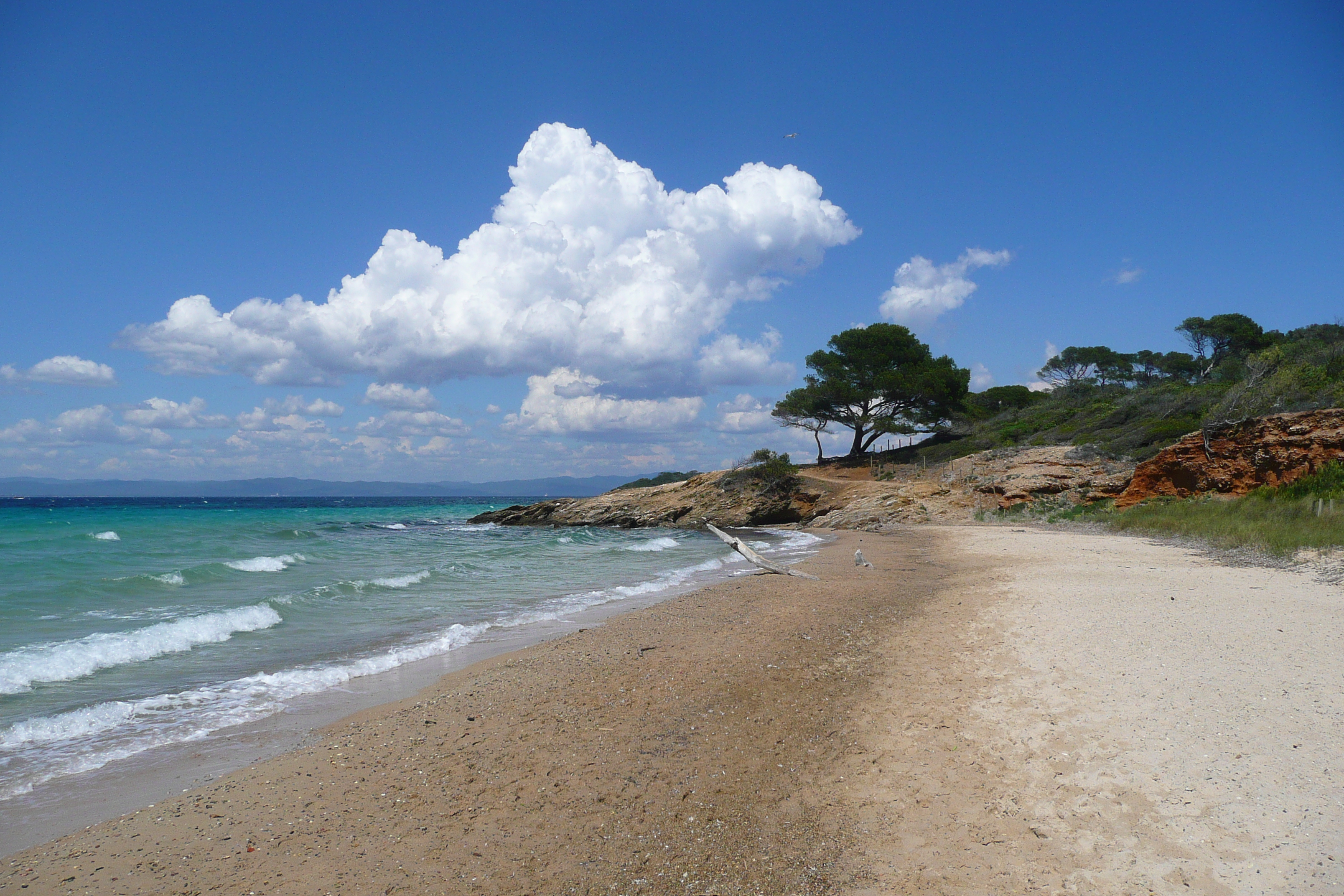 รูปถ่าย ฝรั่งเศส(France) เกาะปอร์เกอรอล(Porquerolles Island) หาดกูร์ตาด(Courtade beach) 2008-05 34