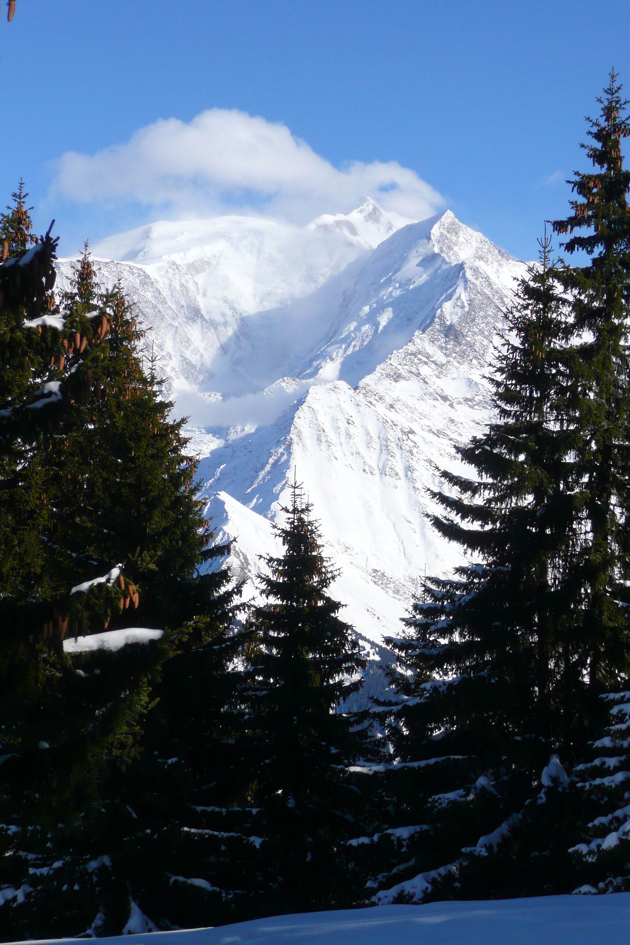 รูปถ่าย ฝรั่งเศส(France) เมแฌฟว์(Megeve) มงดาร์บัว(Mont d'Arbois) 2010-02 180