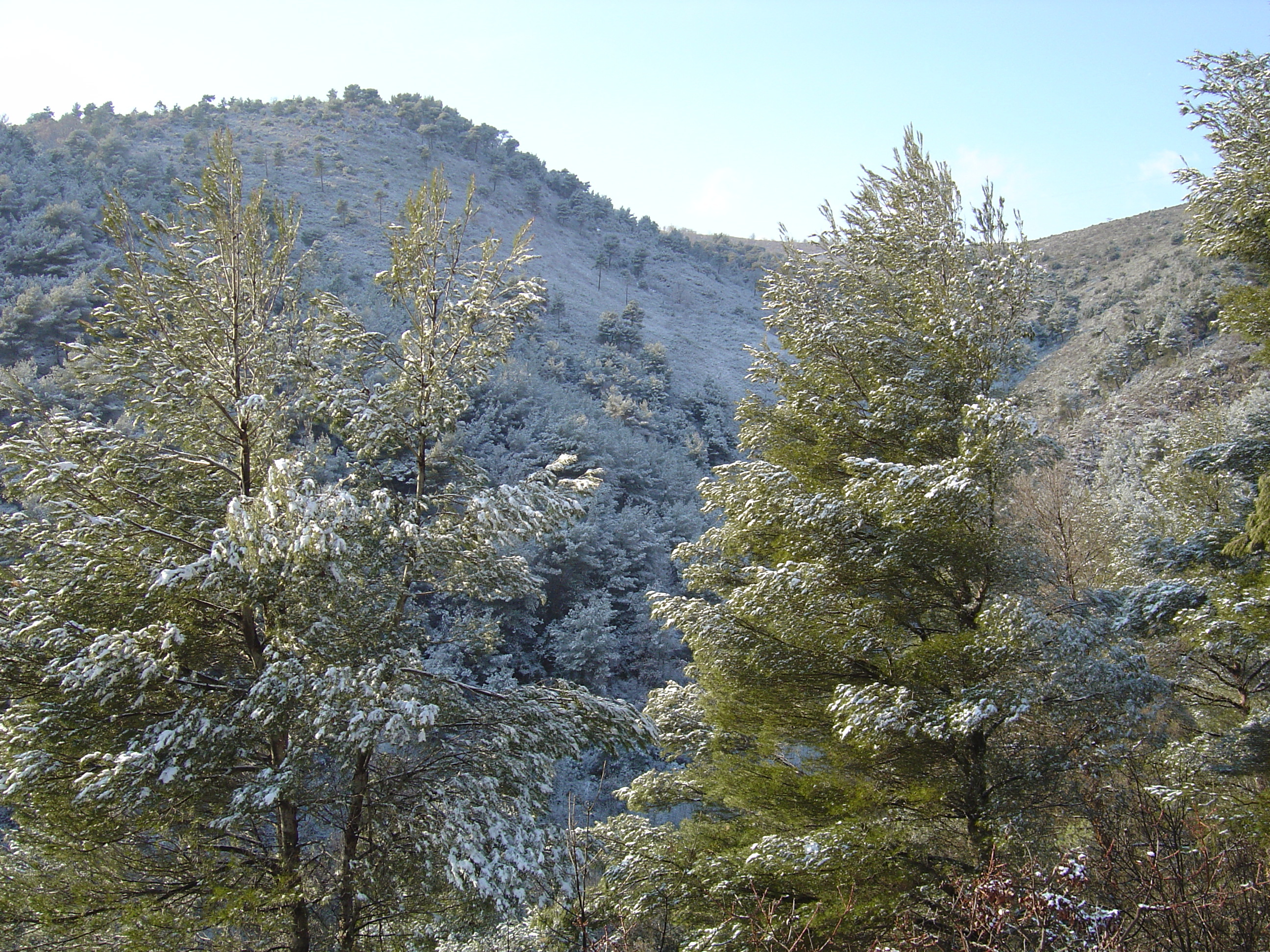 รูปถ่าย ฝรั่งเศส(France) วังซ์(Vence) 2005-02 10