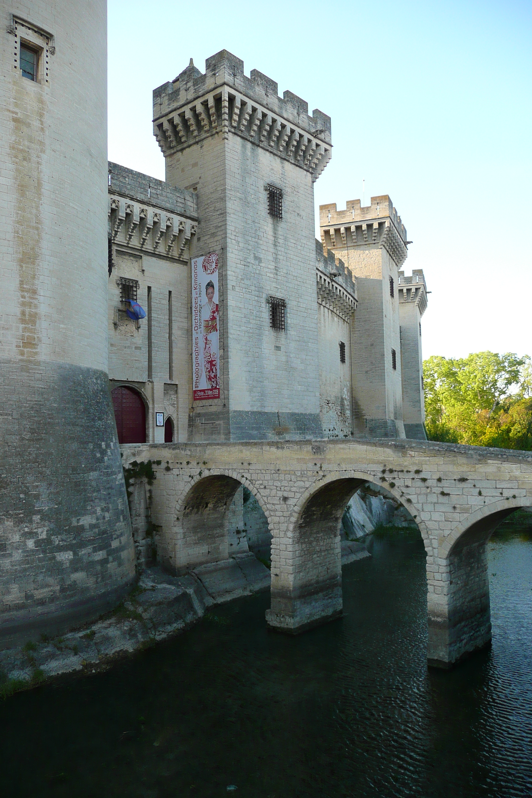 รูปถ่าย ฝรั่งเศส(France) ตาราสกง(Tarascon) ปราสาทตาราสกง(Tarascon Castle) 2008-04 79