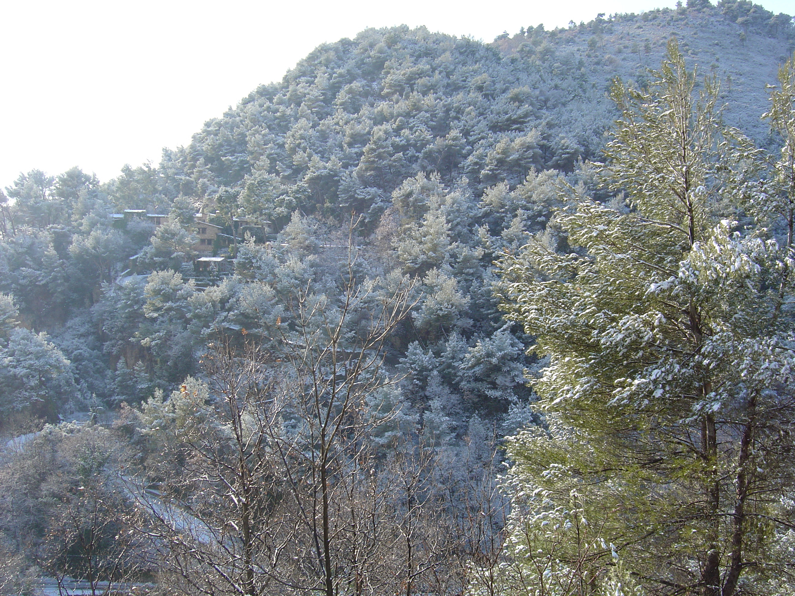 รูปถ่าย ฝรั่งเศส(France) วังซ์(Vence) 2005-02 7