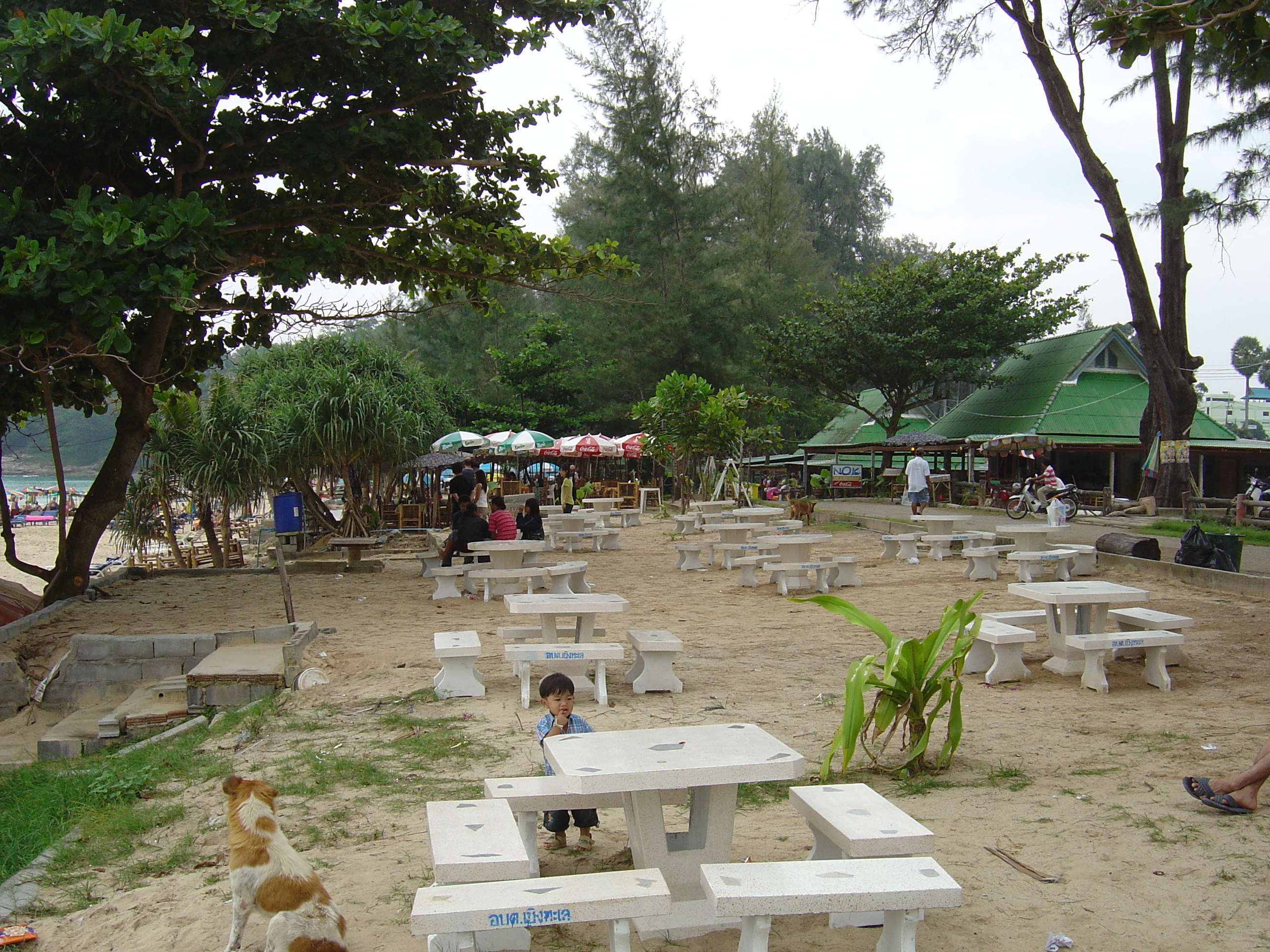 รูปถ่าย ไทย(Thailand) ภูเก็ต(Phuket) หาดสุรินทร์(Surin Beach) 2005-12 10